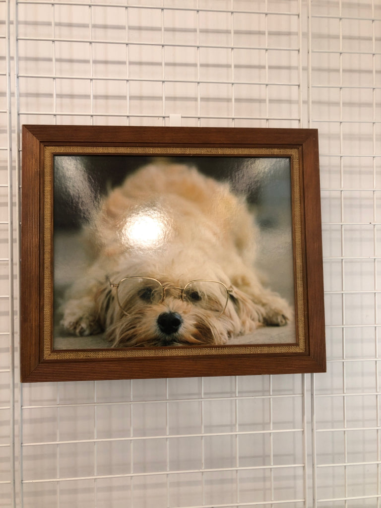 STUDIOUS DOG IN WOOD FRAME.