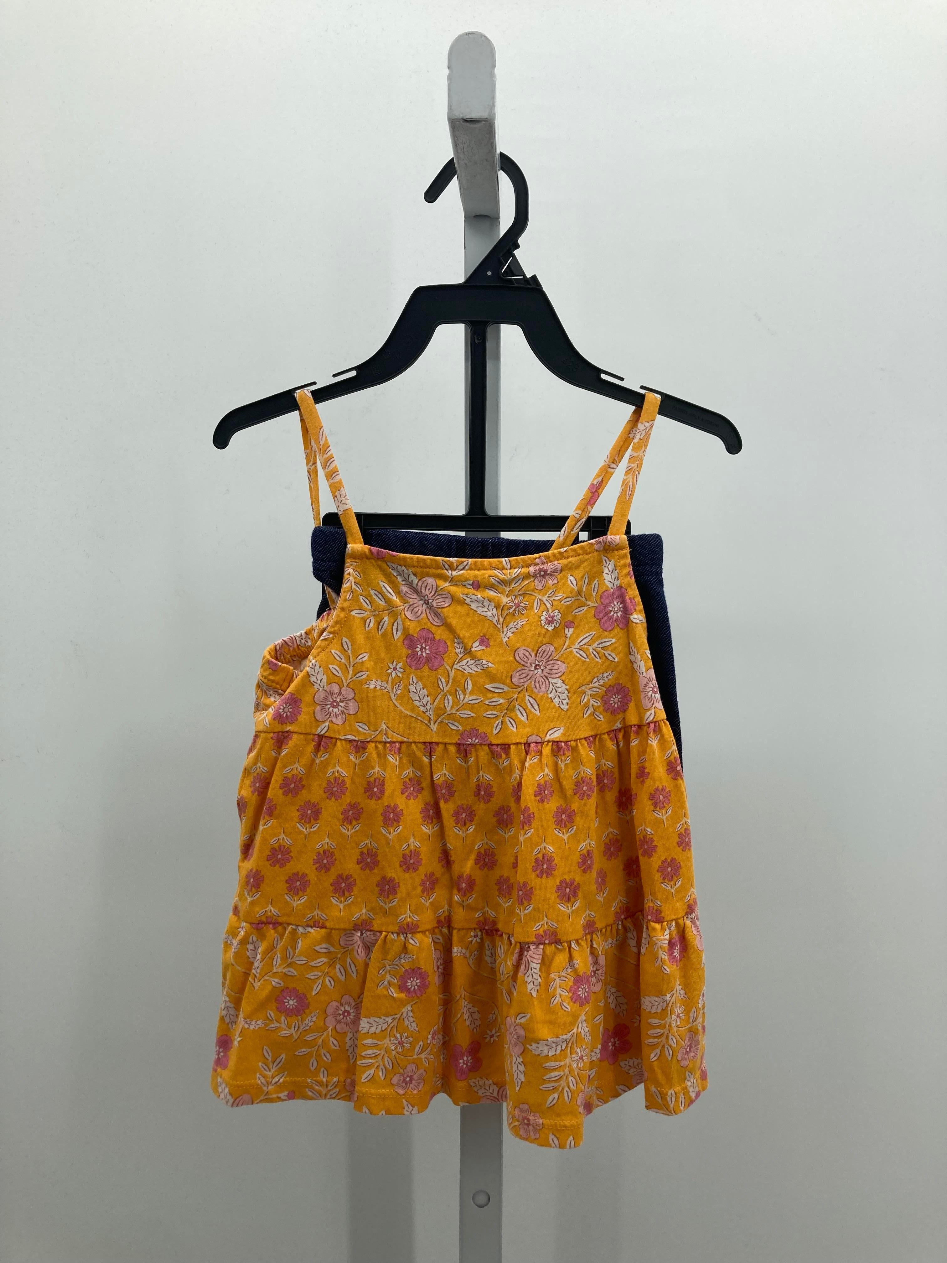 Carters Size 4T Girls 2 Pieces