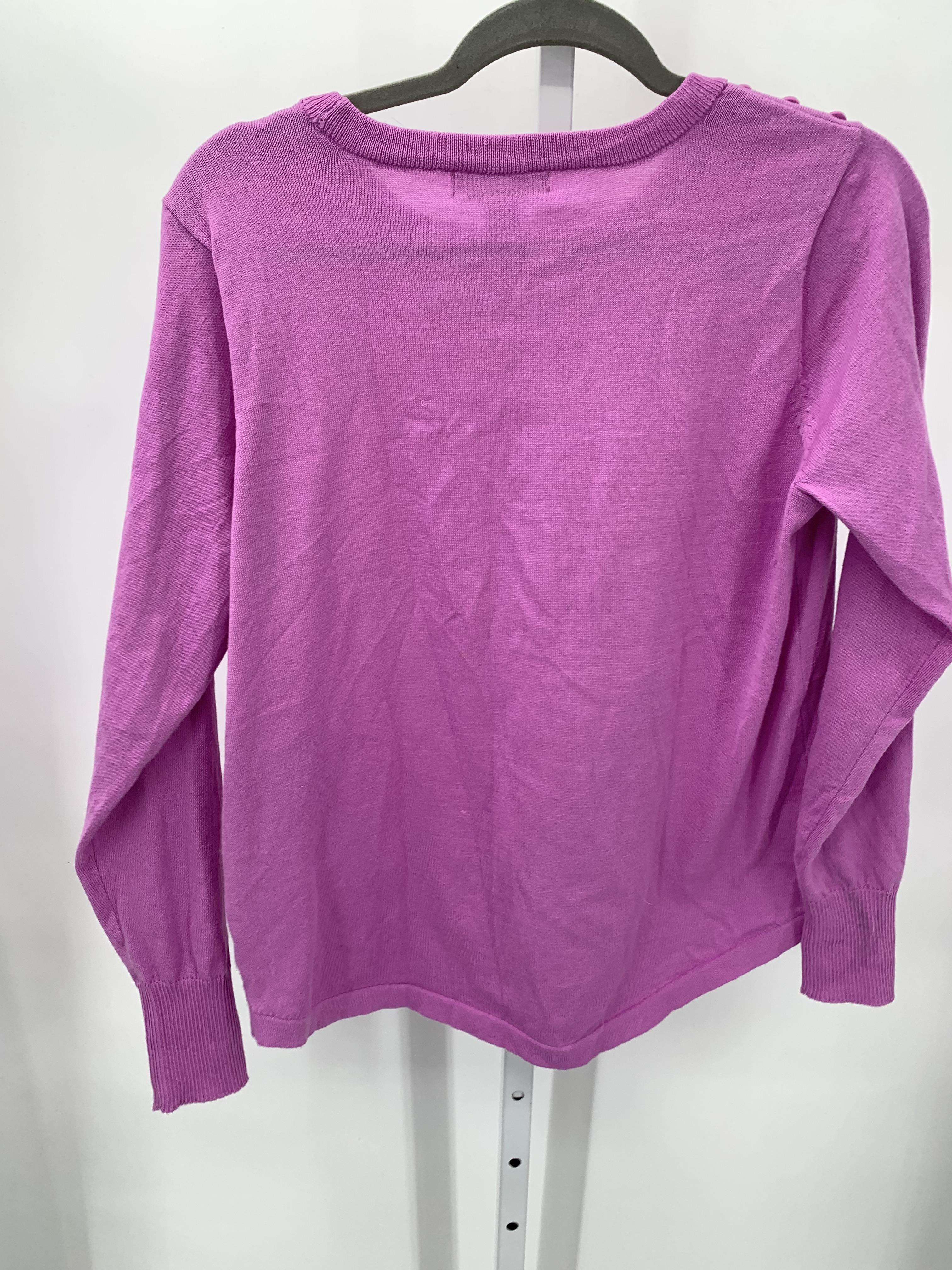 Liz Lange Size Large Petite Petite Long Slv Sweater