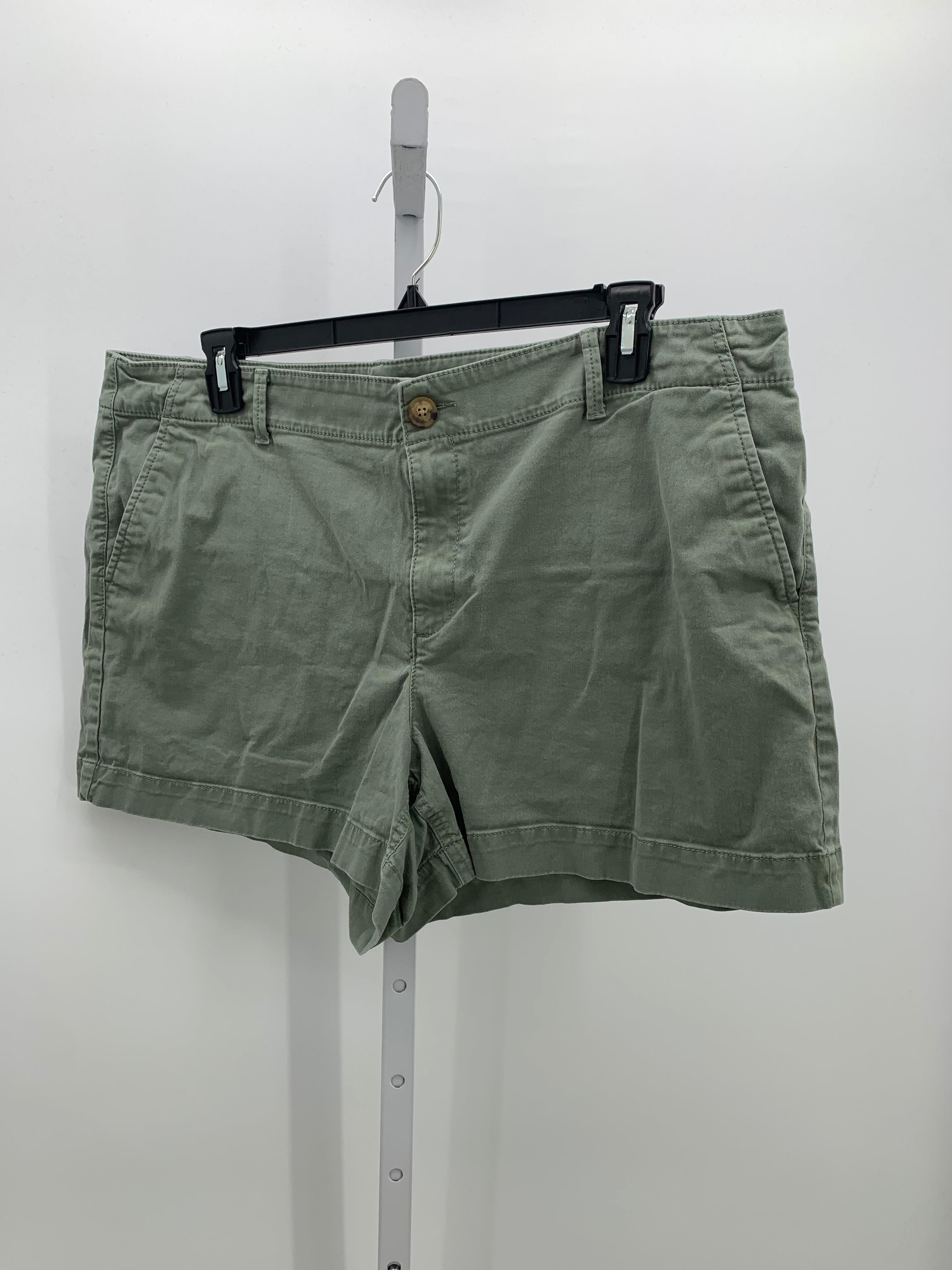 Loft Size 18 Misses Shorts