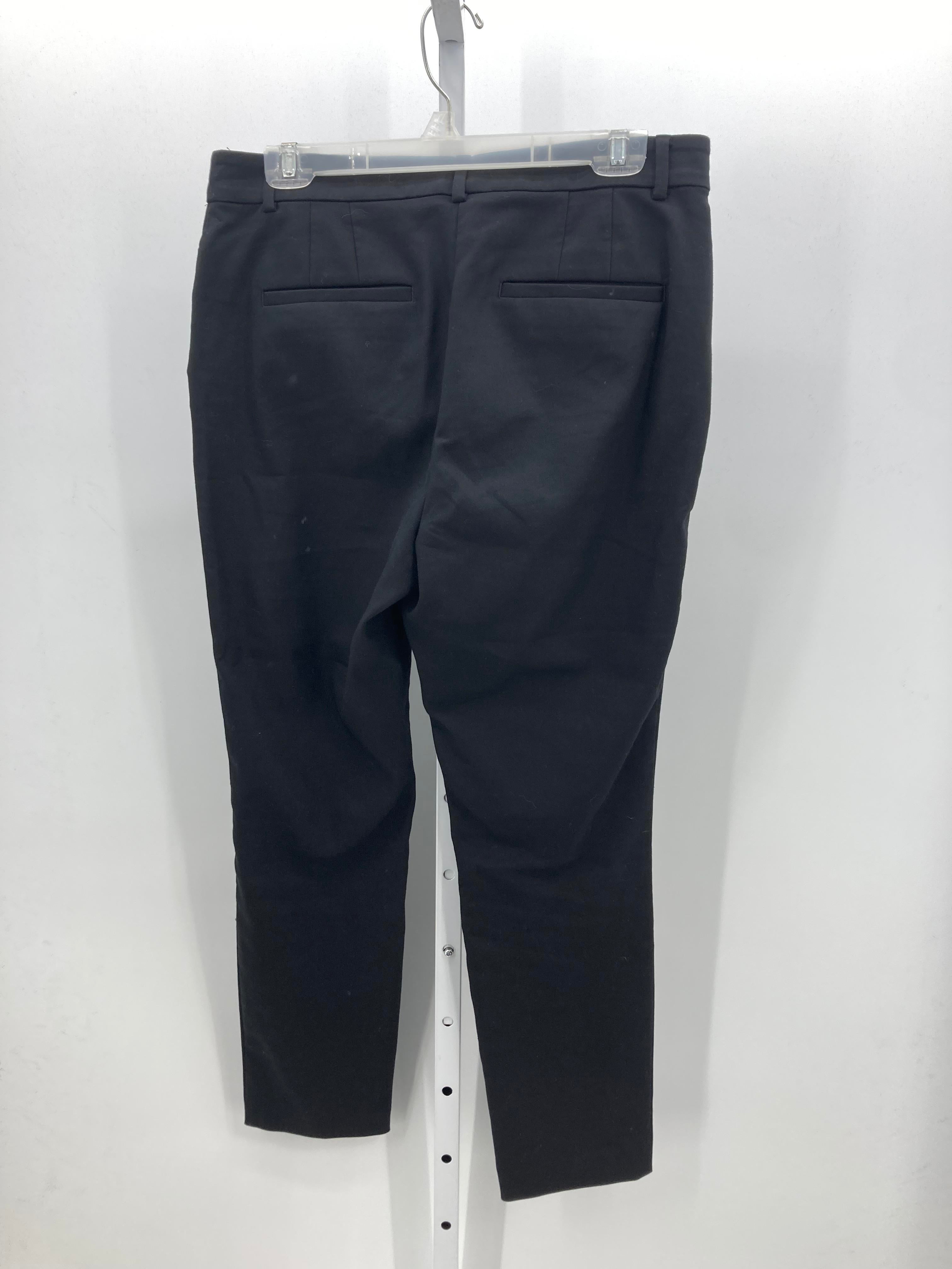 Loft Size 10 Misses Pants