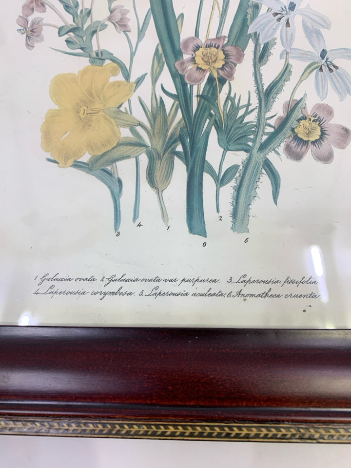 FLORAL PRINT IN BROWN FRAME.