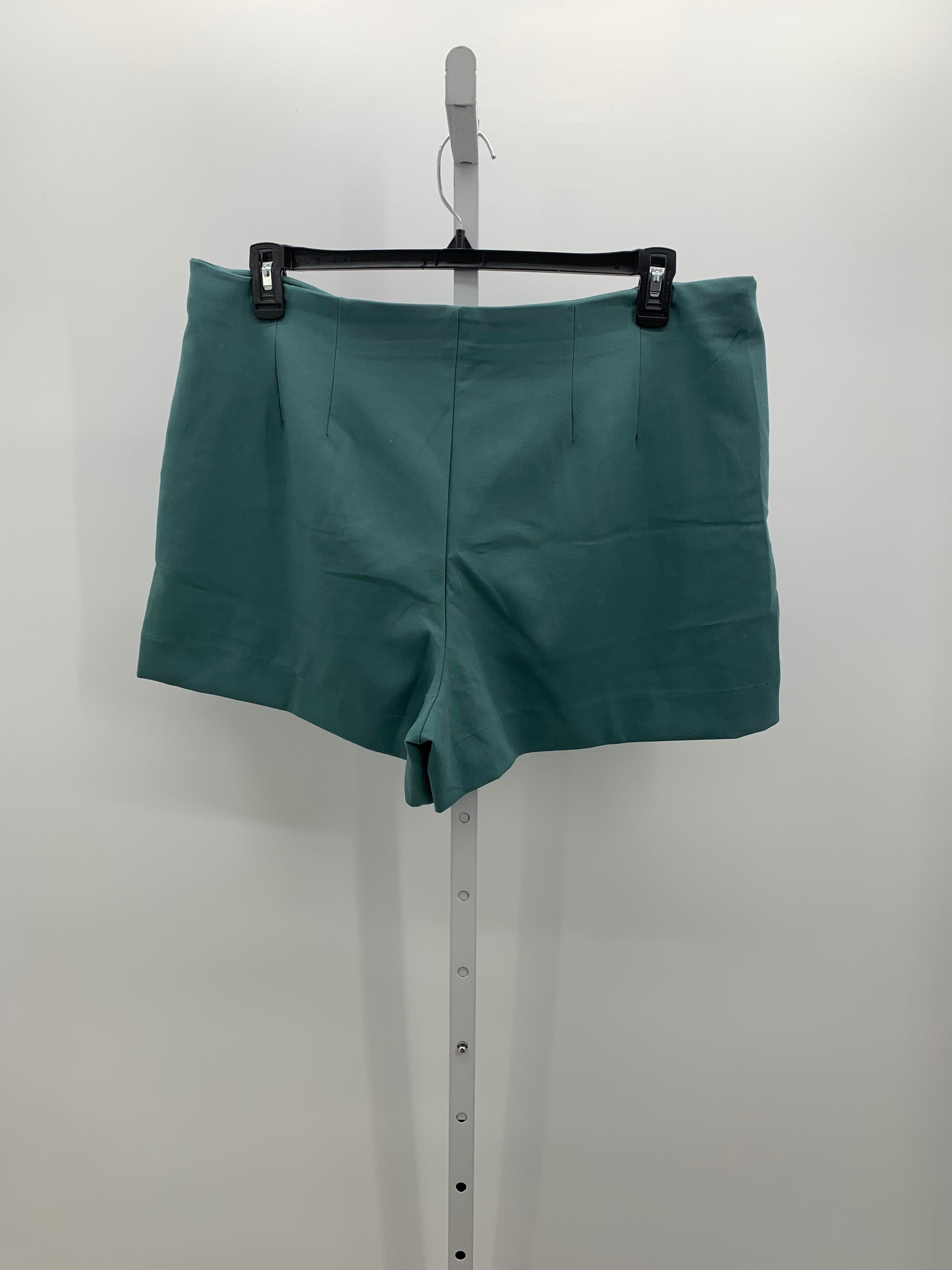 A New Day Size 16 Misses Shorts