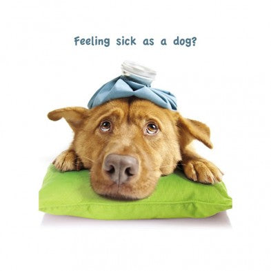 Sick As A Dog, Get Well Card
