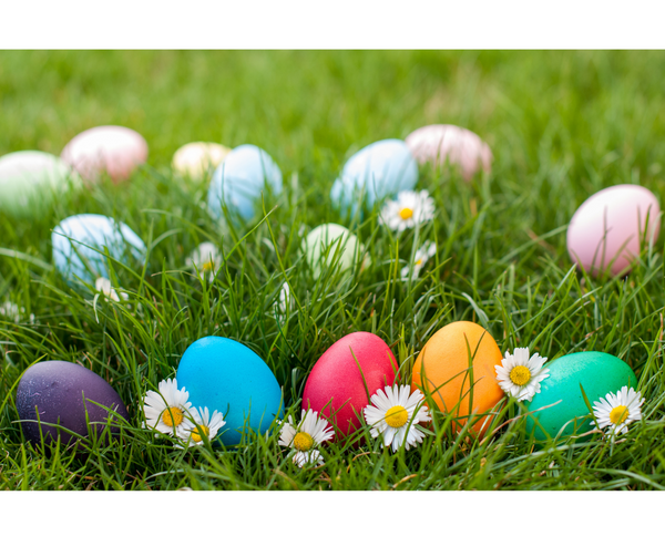 Easter Basket for Older Kids