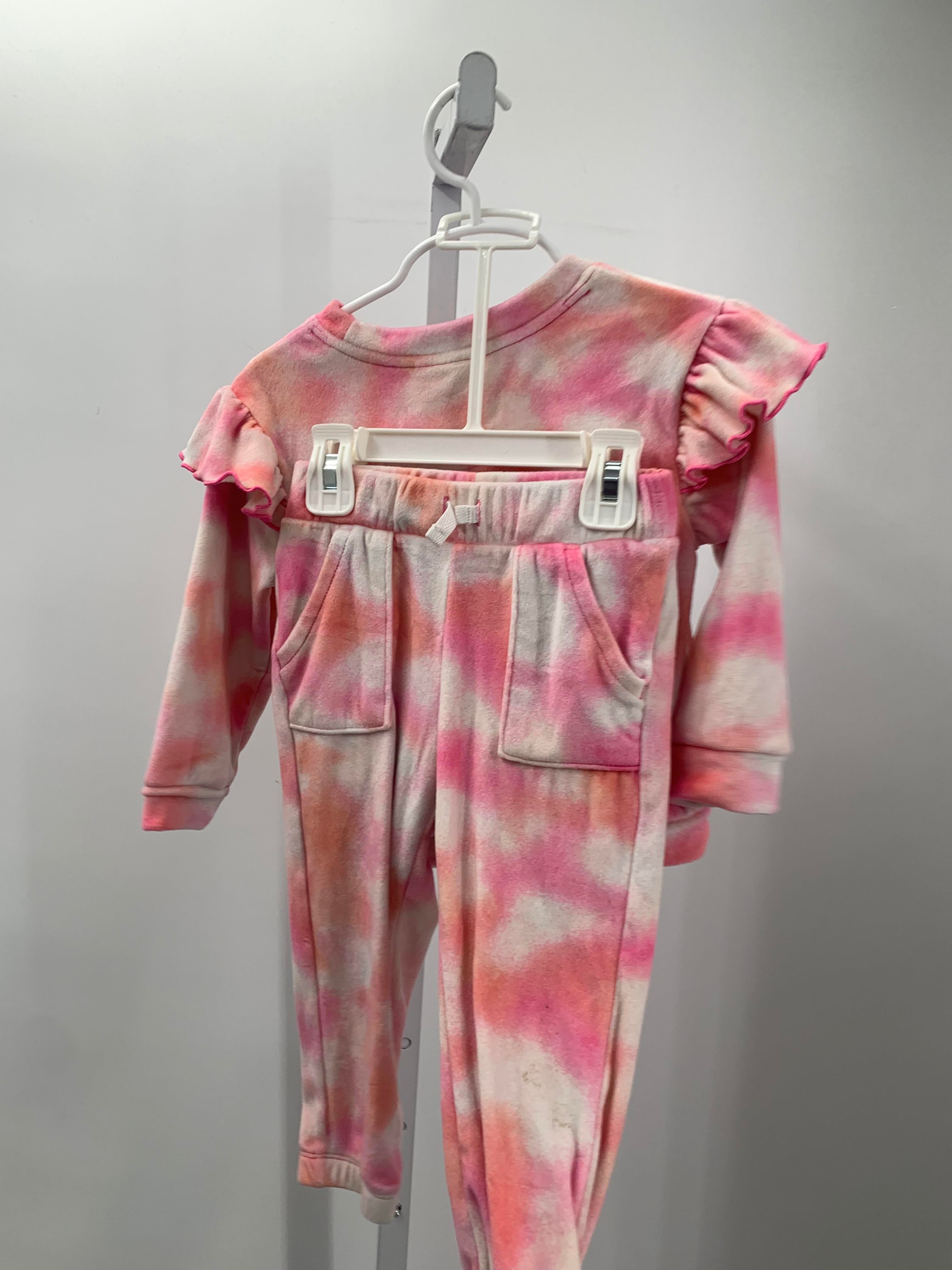 Cat & Jack Size 2T Girls 2 Pieces