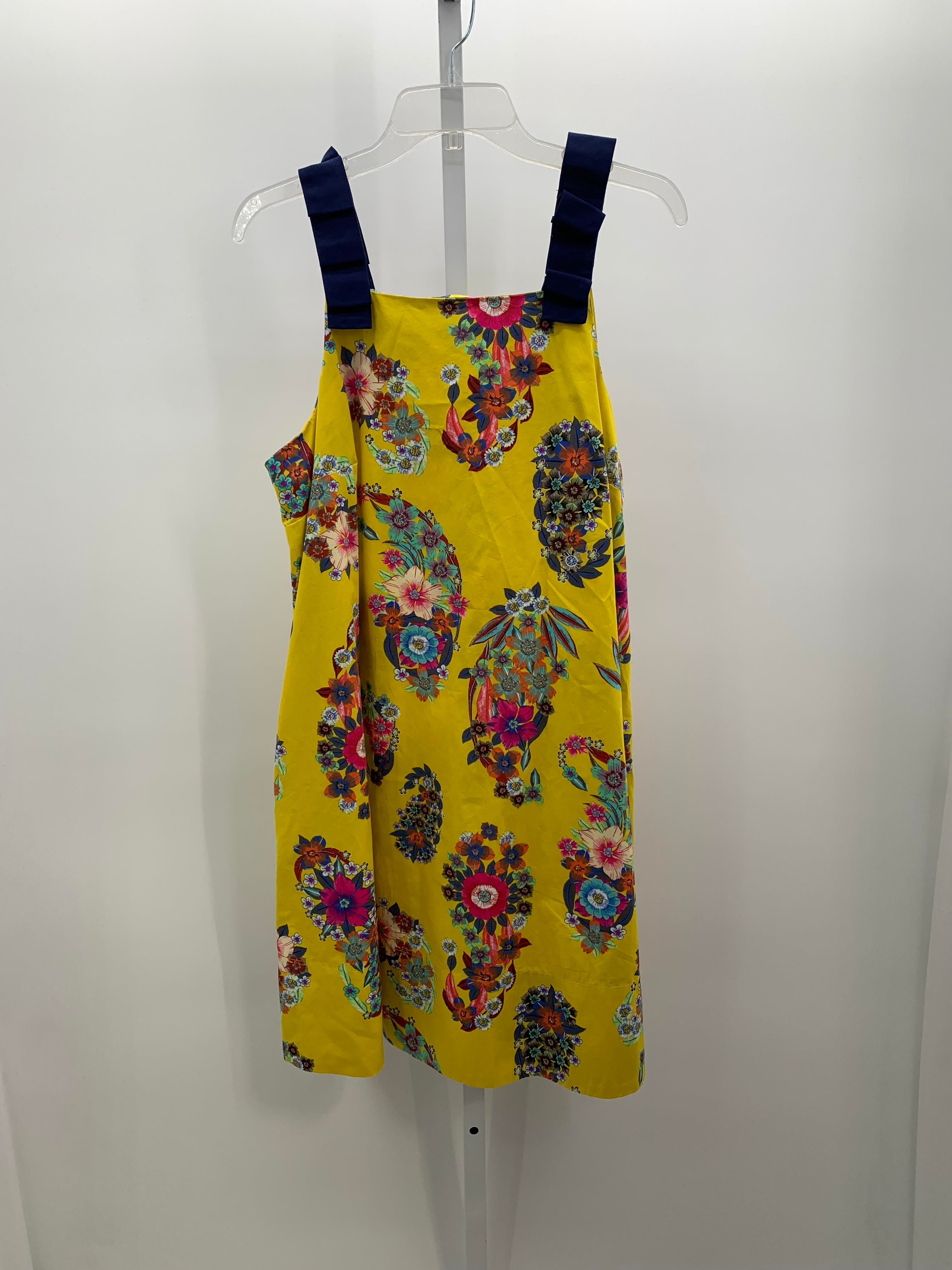 Maeve Size Medium Misses Sleeveless Dress