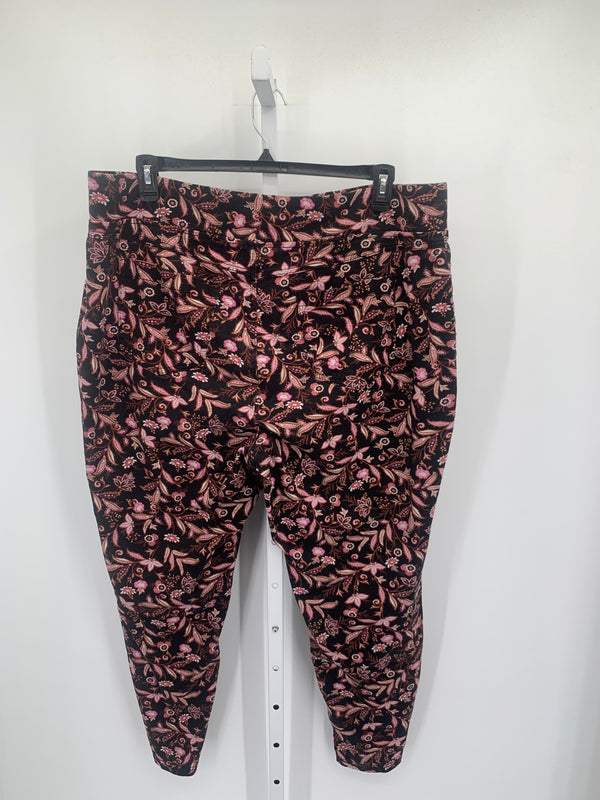 Terra & Sky Size 2X Womens Pants