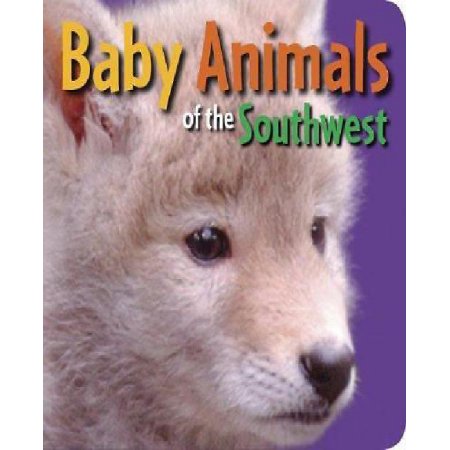 Baby Animals of the Southwest (Board Book) - Rising Moon Editors