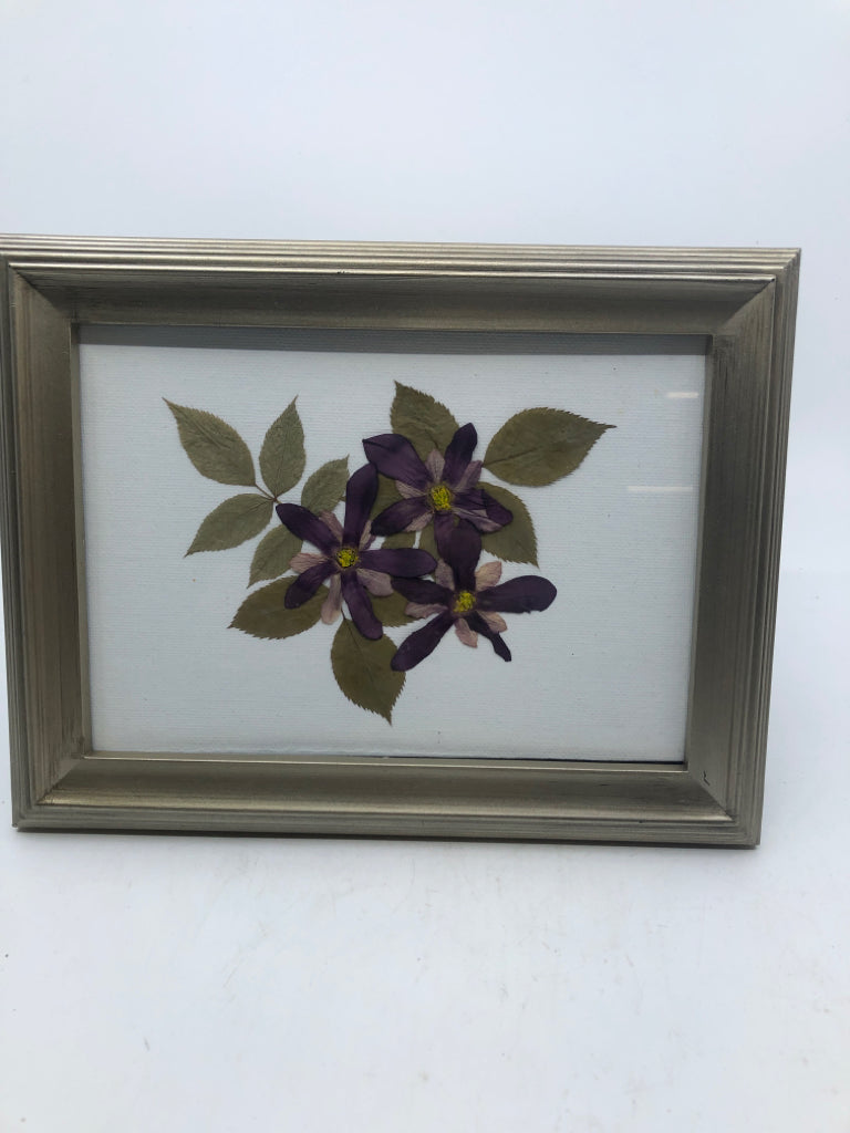 DRIED DAISIES IN SILVER FRAME.