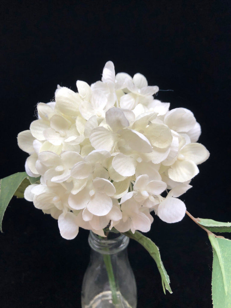 FAUX WHITE HYDRANGEA IN CLEAR GLASS BOTTLE.