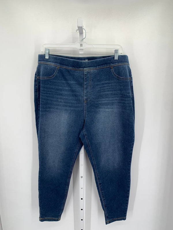 Terra & Sky Size 2X Womens Jeans