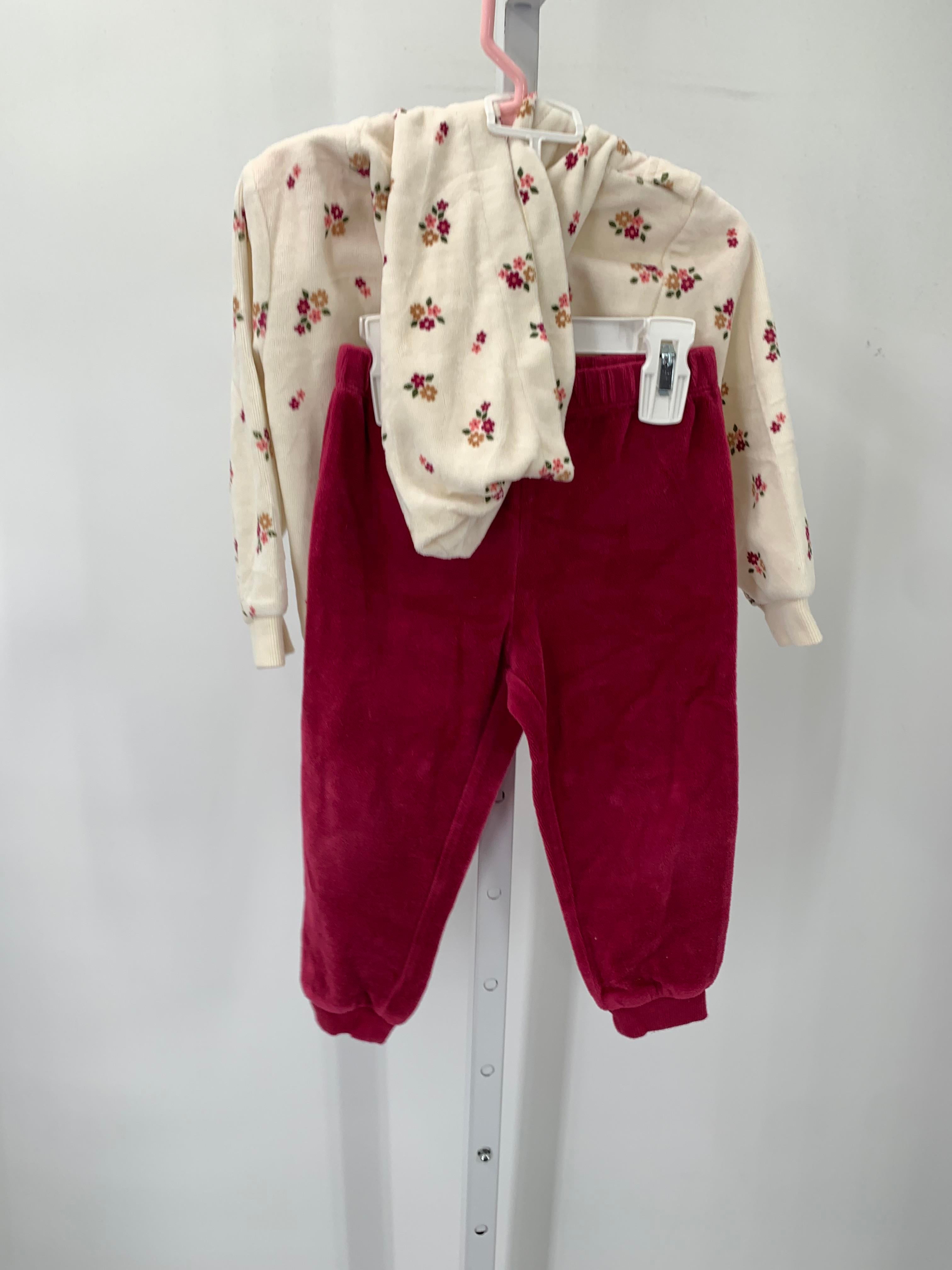 Size 2T Girls 2 Pieces