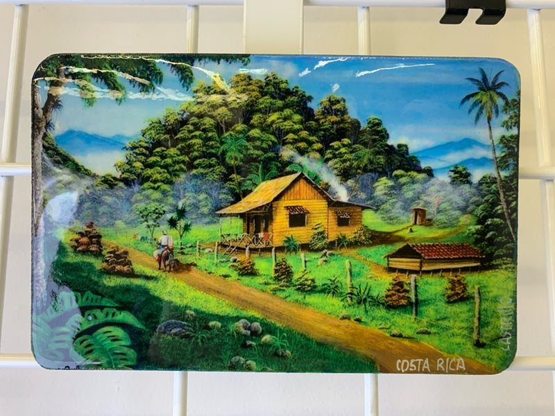 SMALL "COSTA RICA" HAND PAINTED WALL HANGING.