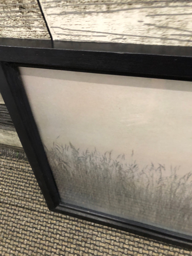 BLACK AND WHITE TALL GRASS IN BLACK FRAME.