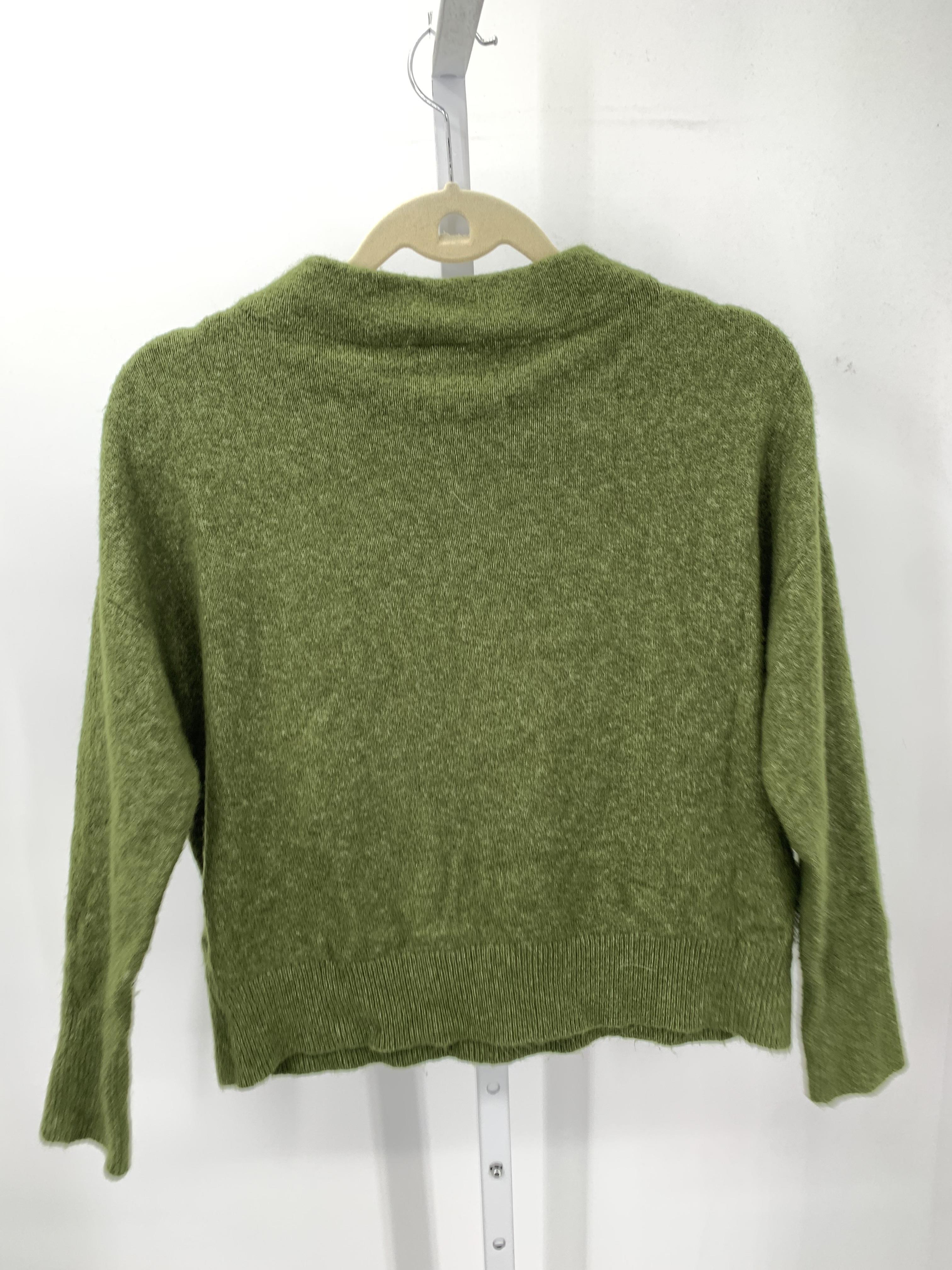Ann Taylor Size Small Misses Long Slv Sweater