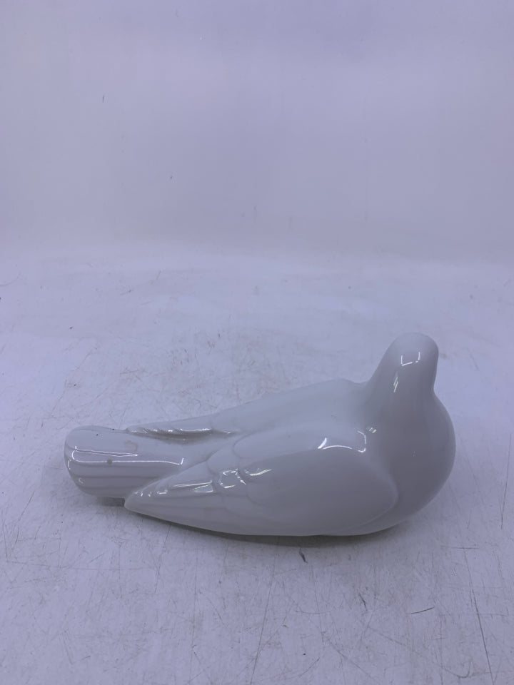 WHITE DOVE LAYING DOWN.