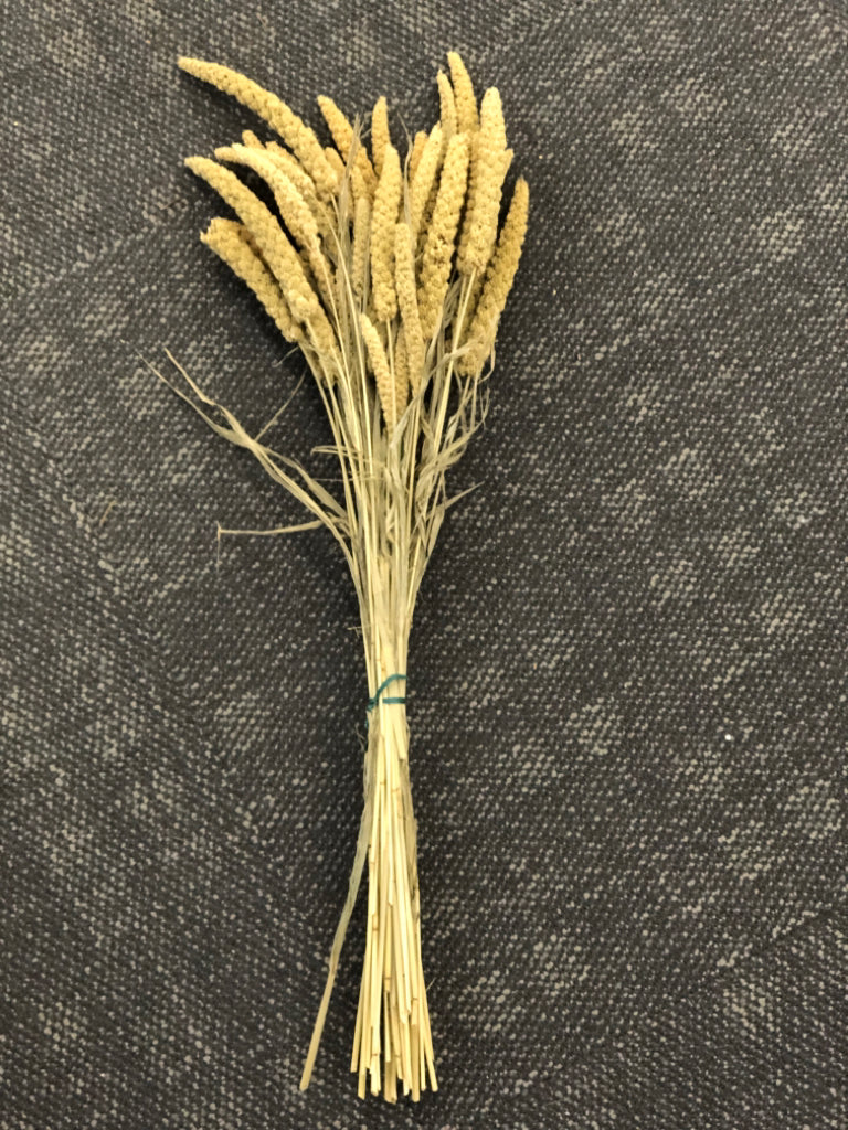 DRIED MILLET BUNDLE.