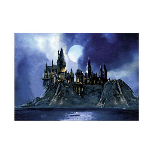 Neca Toys Puzzles - Harry Potter - HOGWARTS CASTLE (1000 Pieces) - SEALED PACKAG