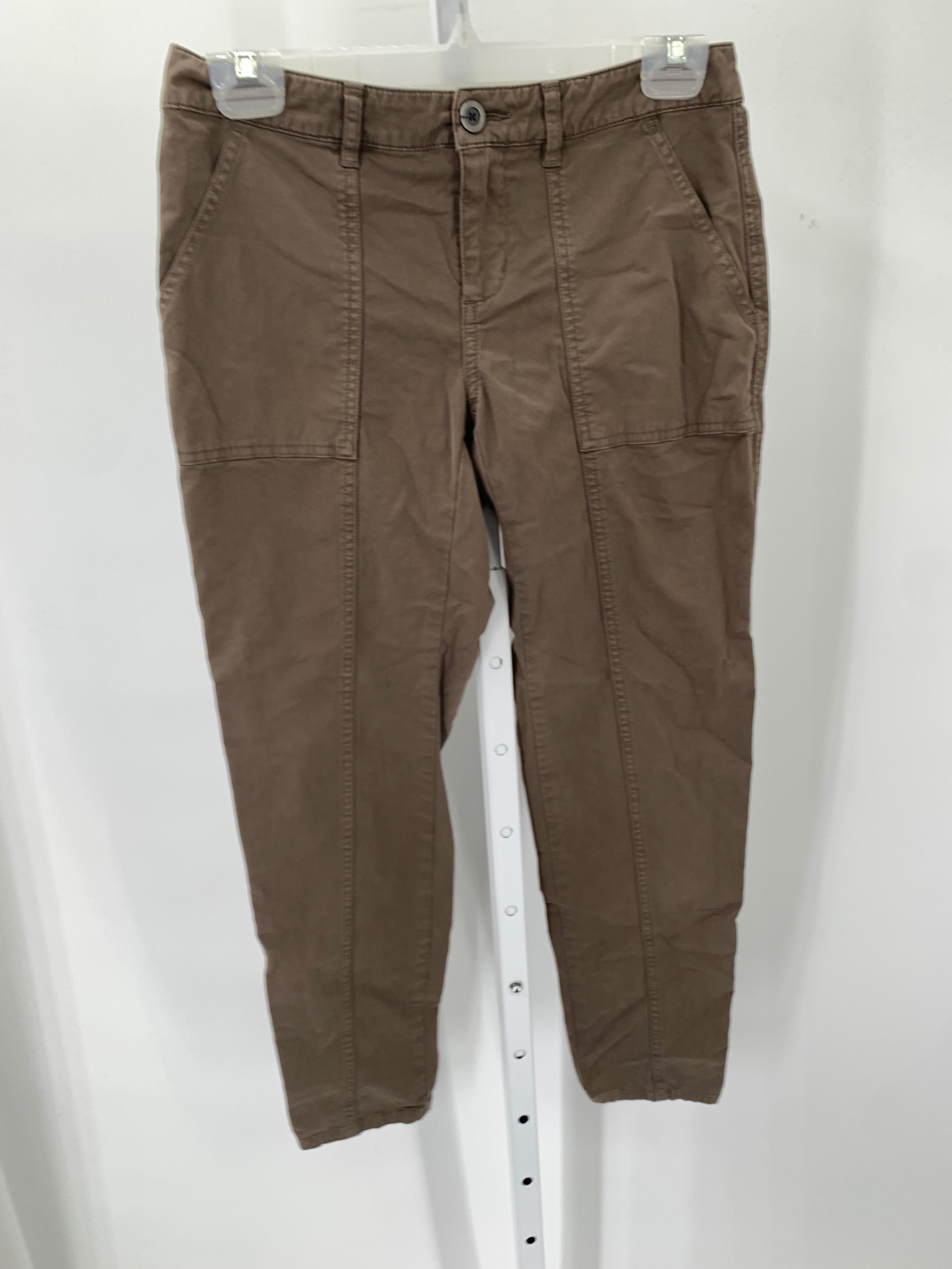 Garnet Hill Size 2 Misses Pants