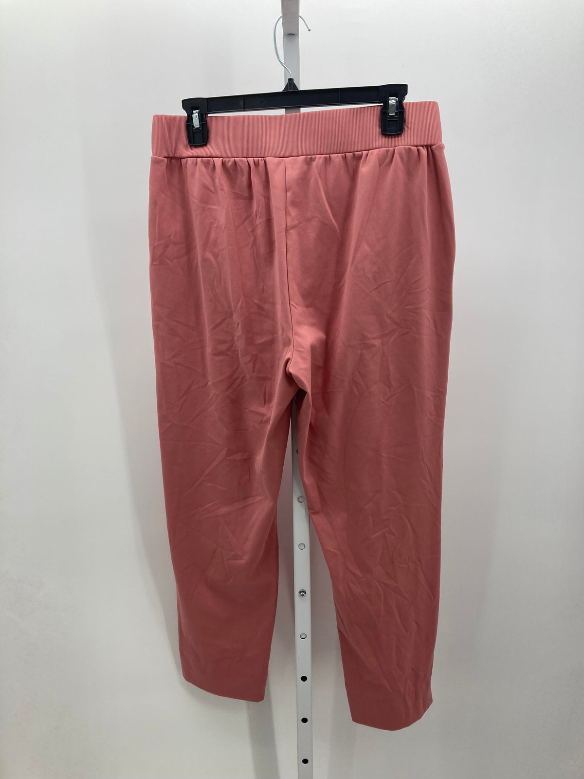 Rachel Zoe Size Large Misses Pants