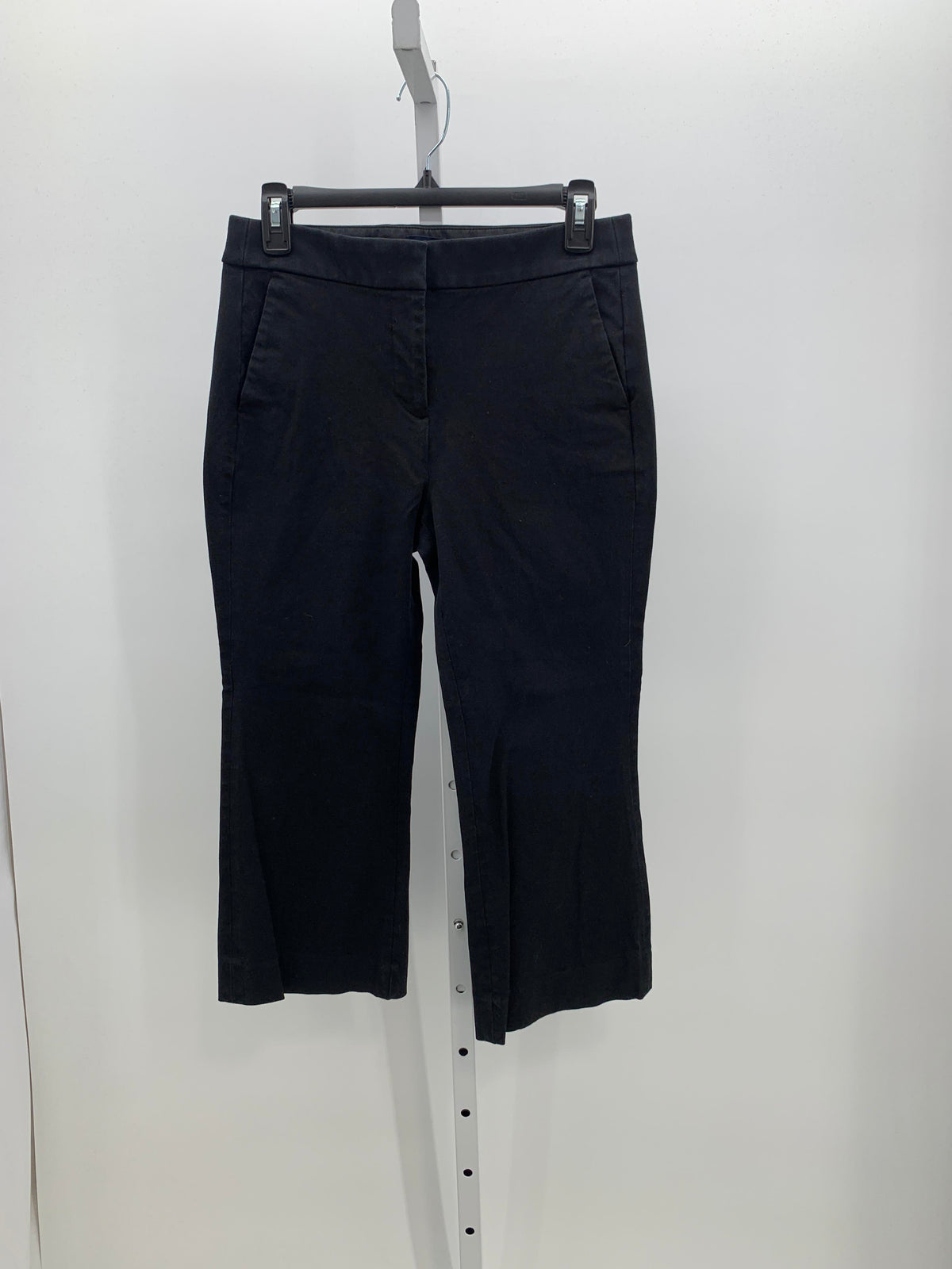 J. Crew Size 6 Petite Petite Pants