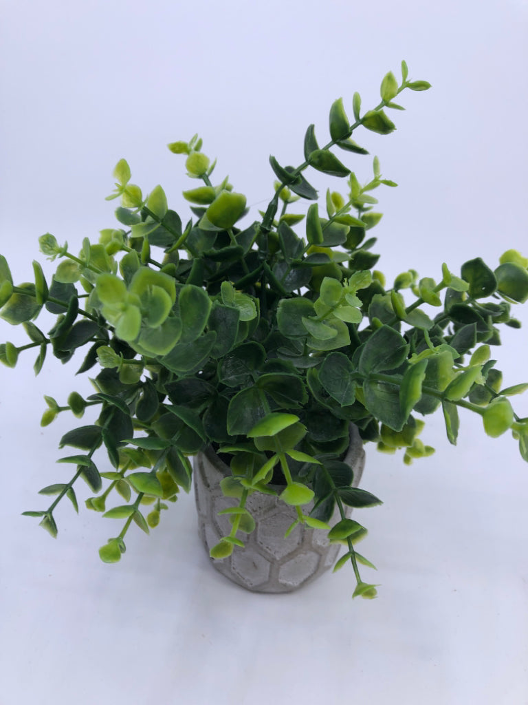 FAUX GREENS IN WHITE GREY.