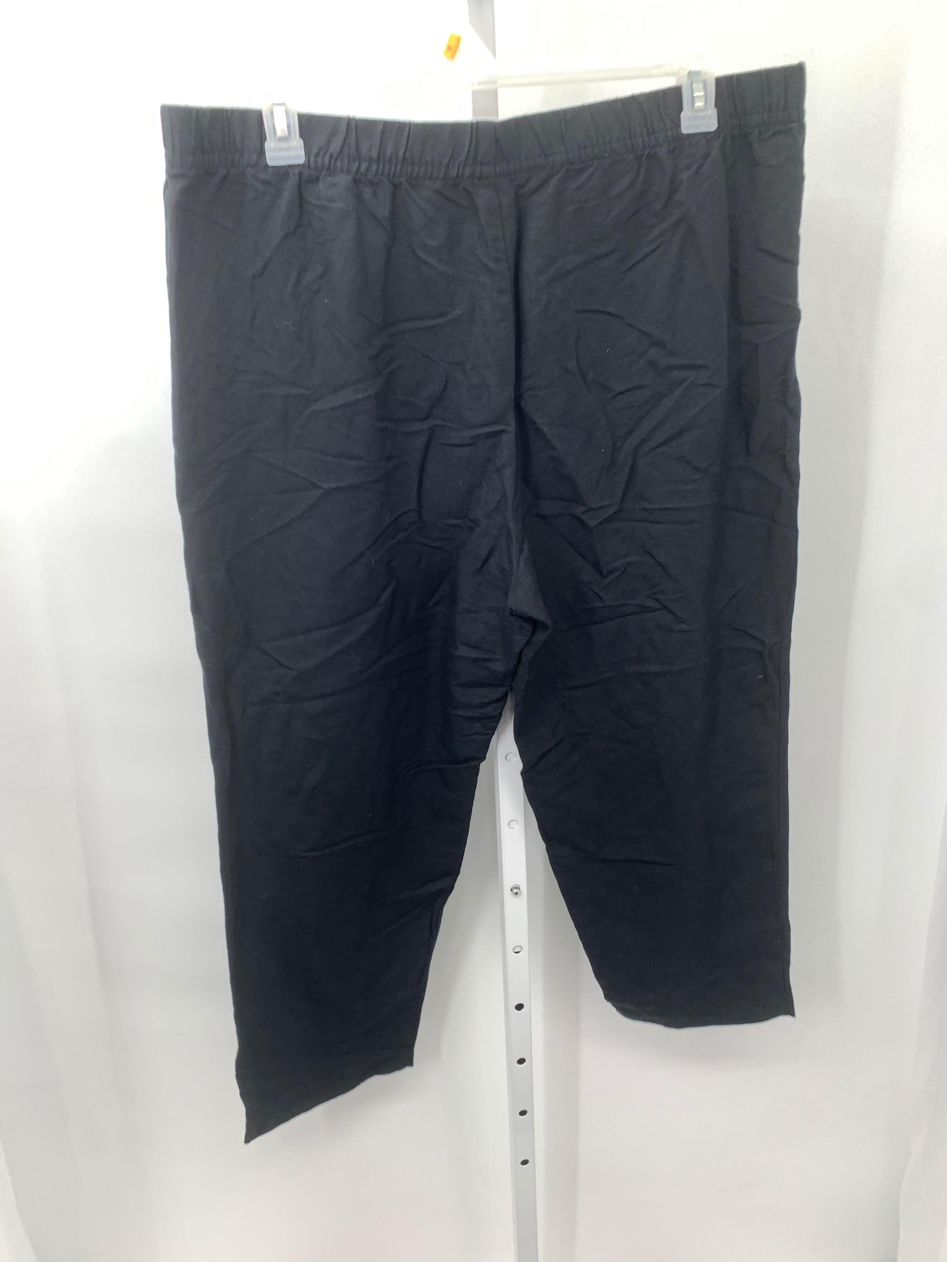 H&M Size Extra Large Misses Pants
