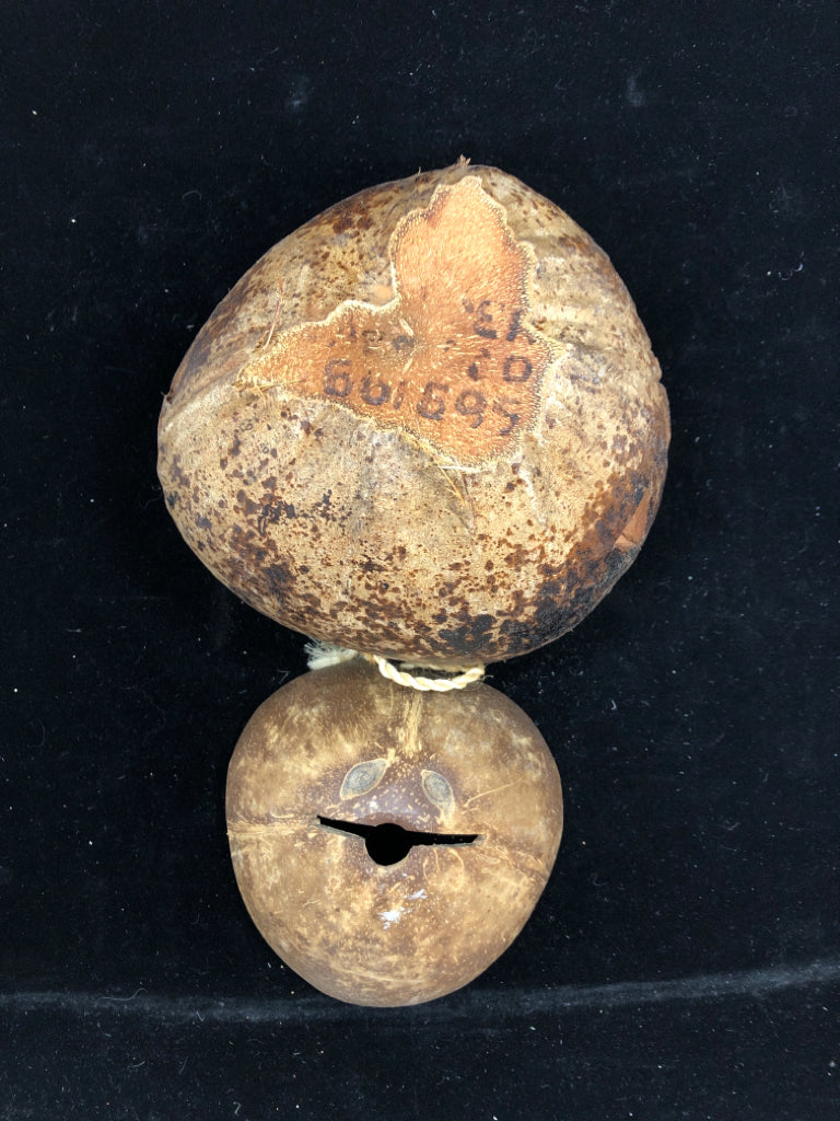 CARVED COCONUT "HAVE FUN" DECOR W/ATTACHED LID.