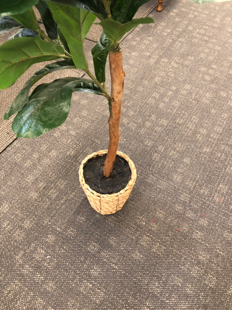 FAUX TREE IN WOVEN PLANTER W/ FAUX BLACK DIRT.