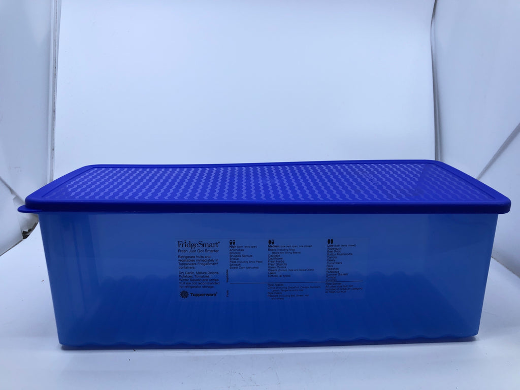 PLASTIC BLUE RECTANGLE TUPPERWARE STORAGE W/ LID.