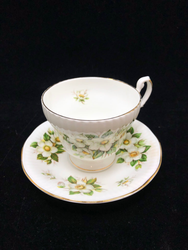 WHITE FLOWER TEA CUP & SAUCER - ROYAL DOVER.