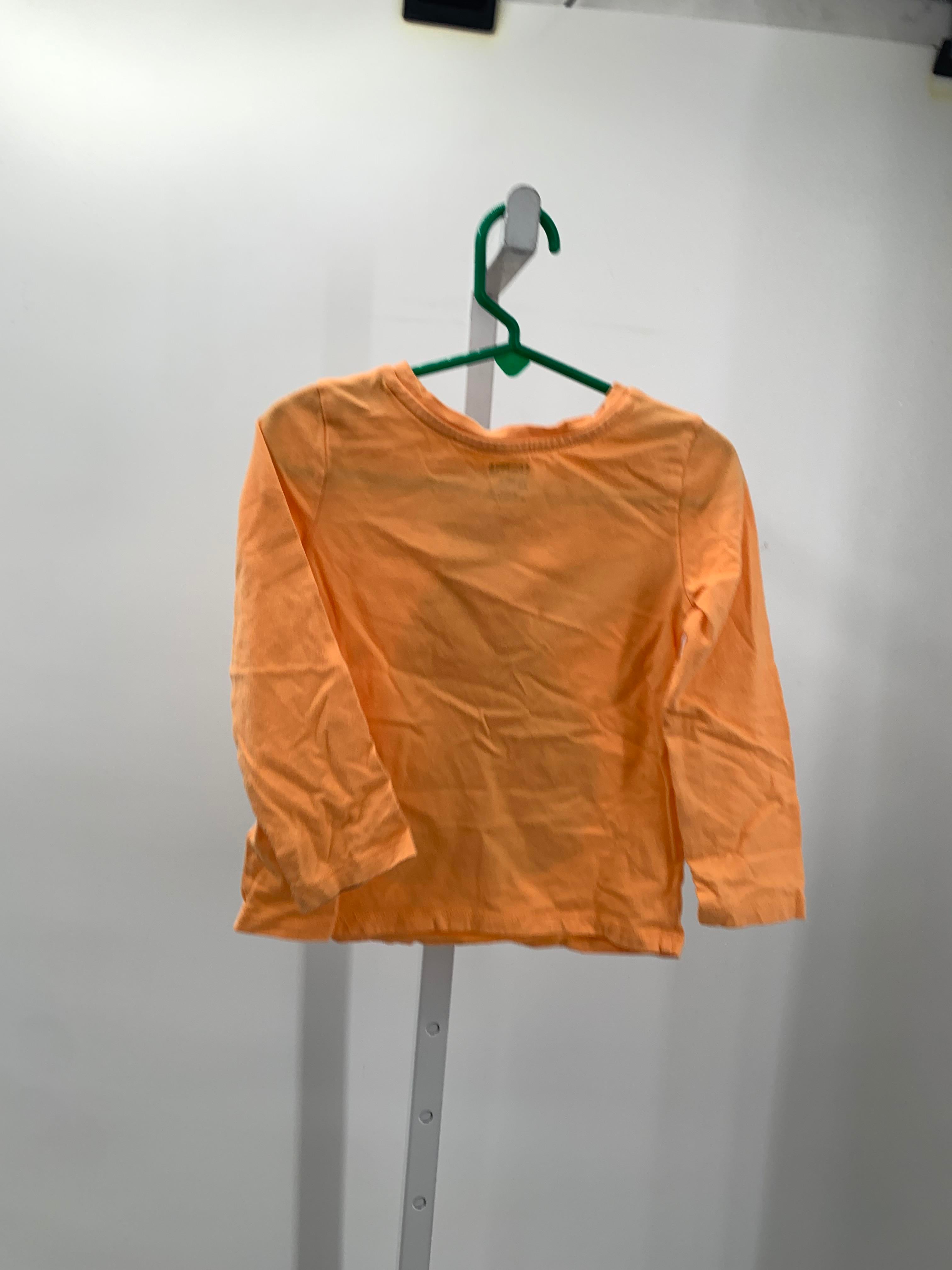 Size 4T Girls Long Sleeve Shirt