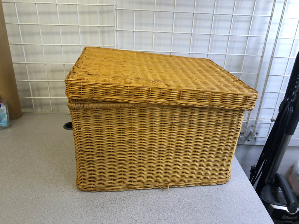 BASKET FILE HOLDER W/LID.
