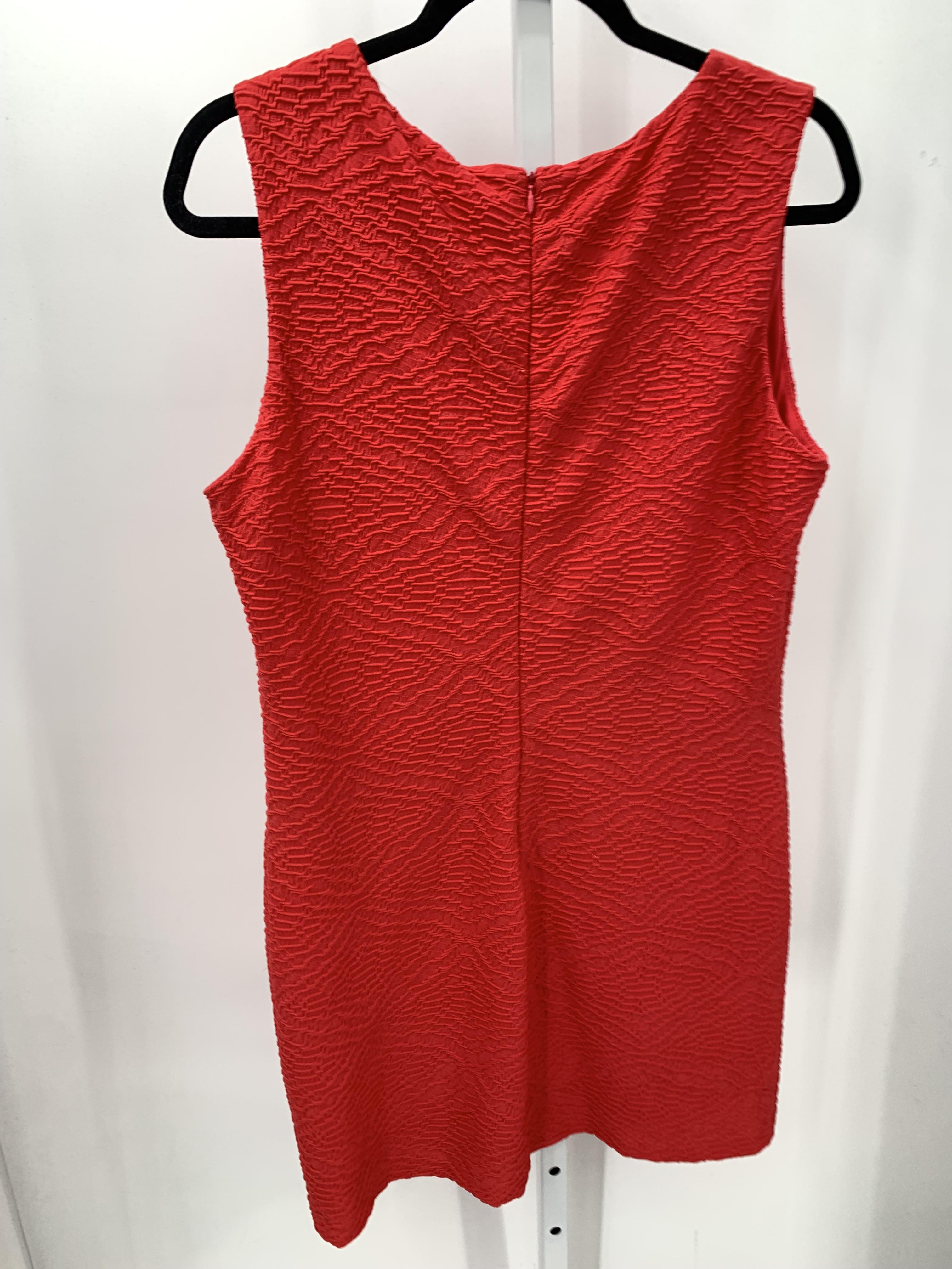 Calvin Klein Size 12 Misses Sleeveless Dress