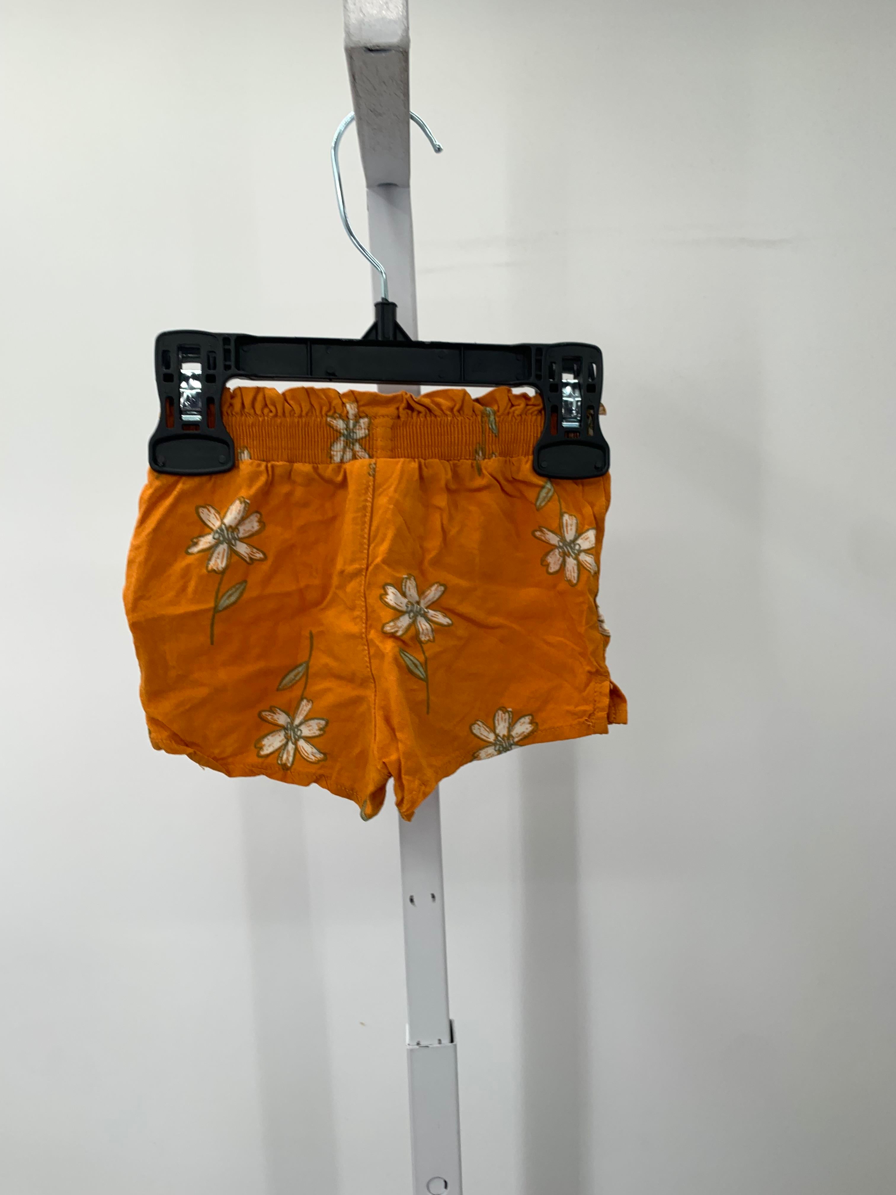 Carters Size 3 Months Girls Shorts