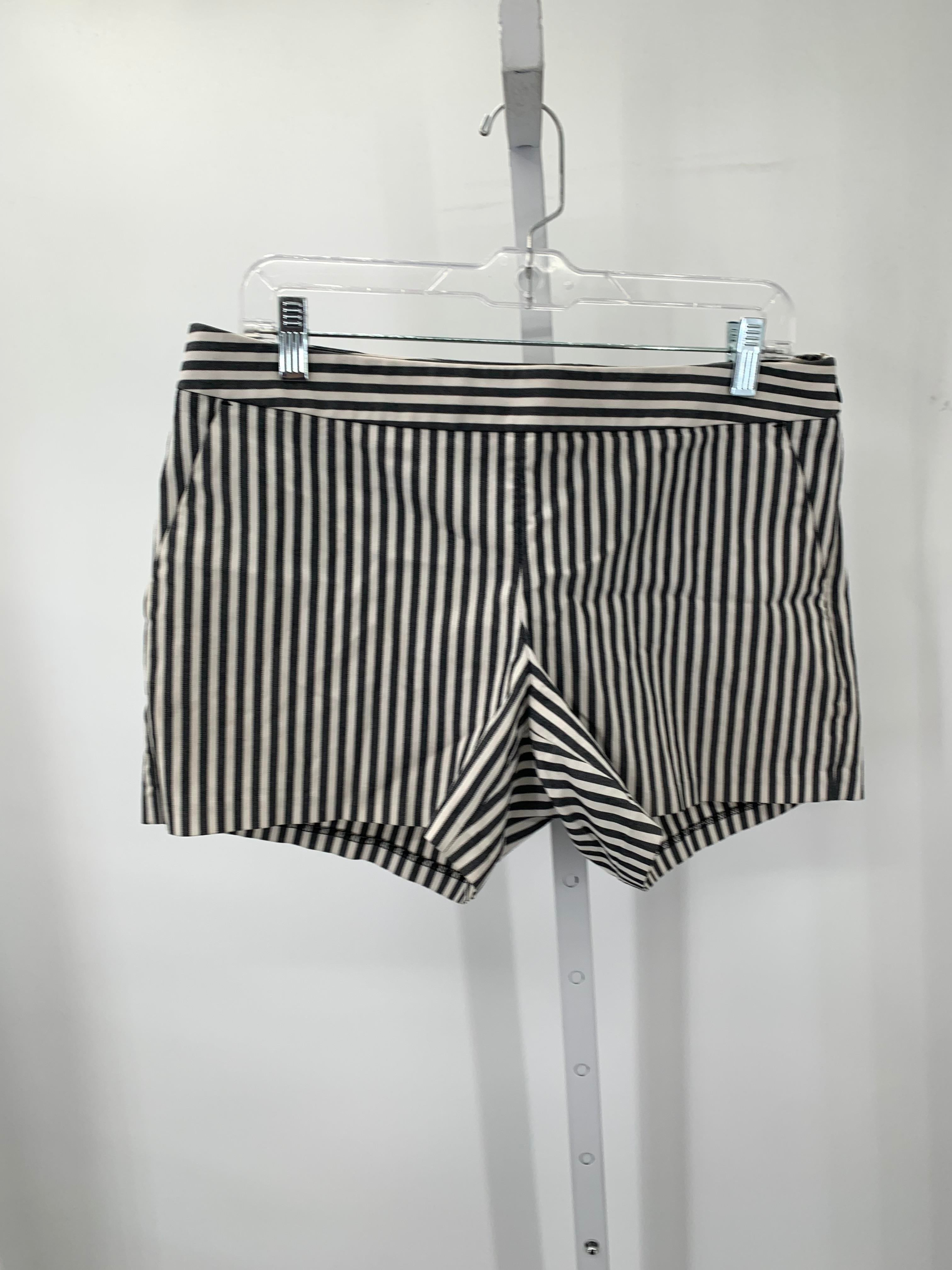 Express Size 10 Misses Shorts