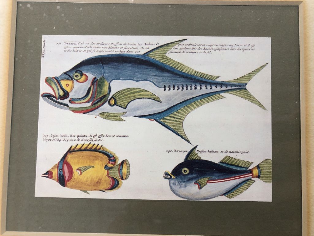 FISH IN CREAM FRAME WALL ART.