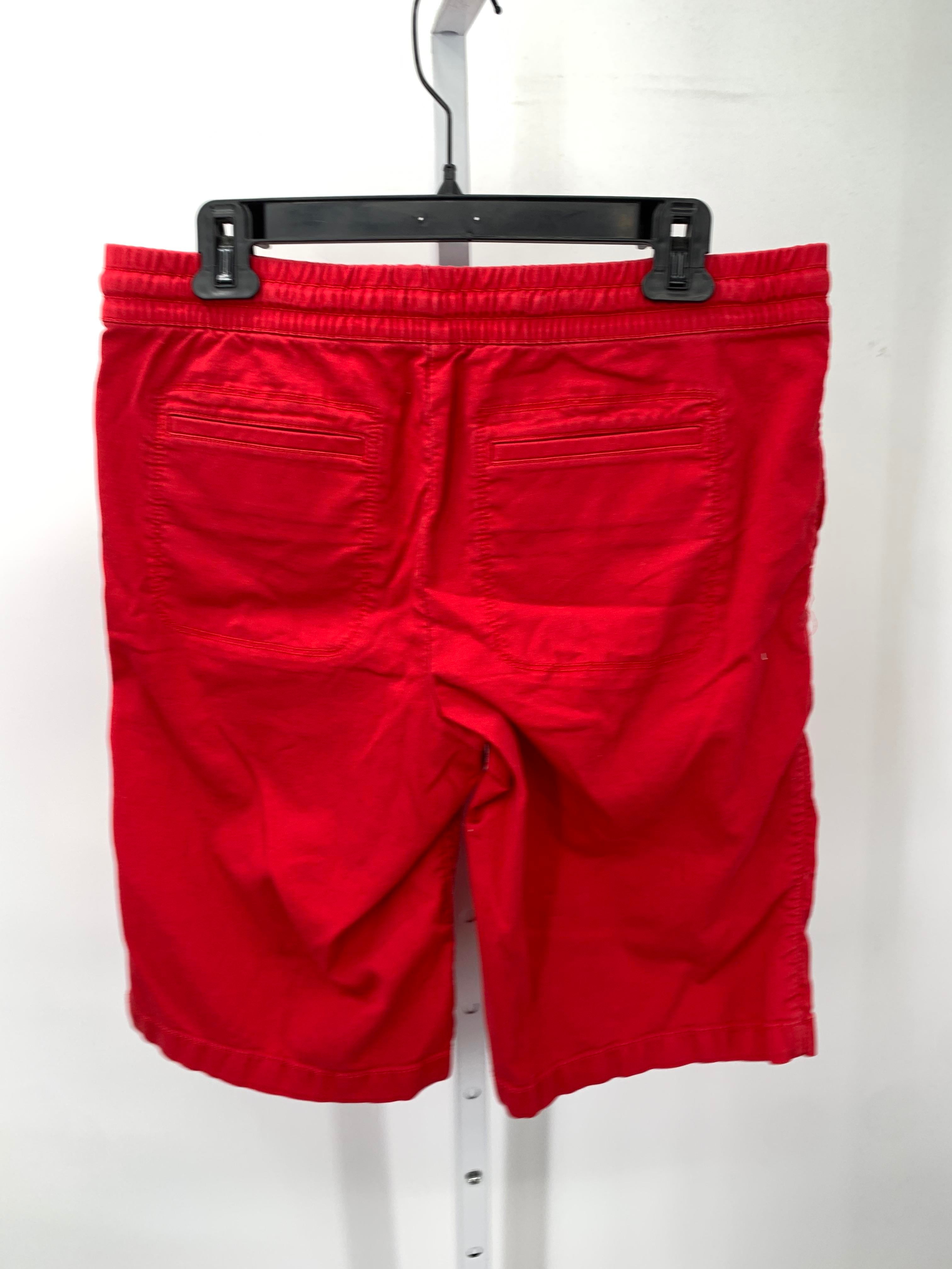 Loft Size 6 Misses Shorts