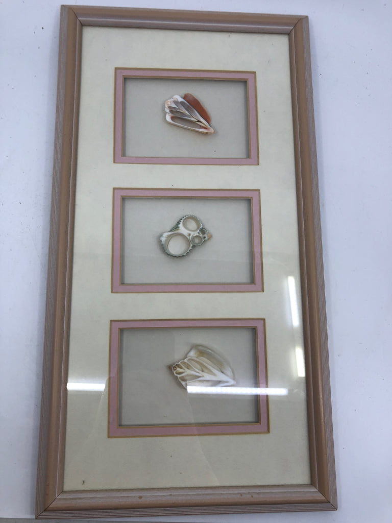 TRIPLE SEASHELL FRAME.