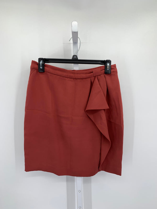 H&M Size 8 Misses Skirt