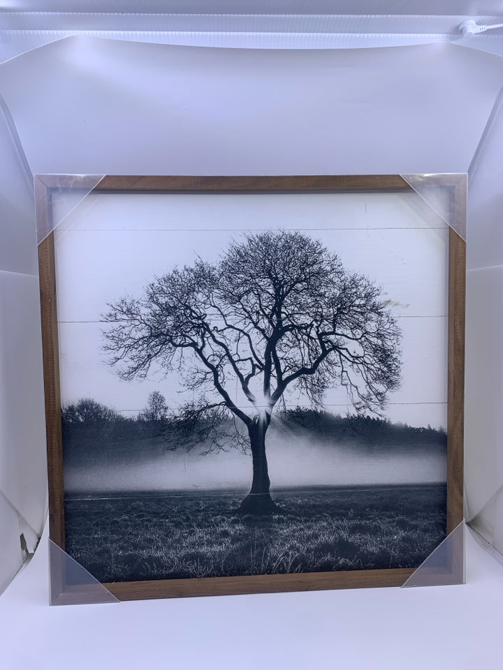 BLACK/WHITE TREE IN WOOD FRAME.