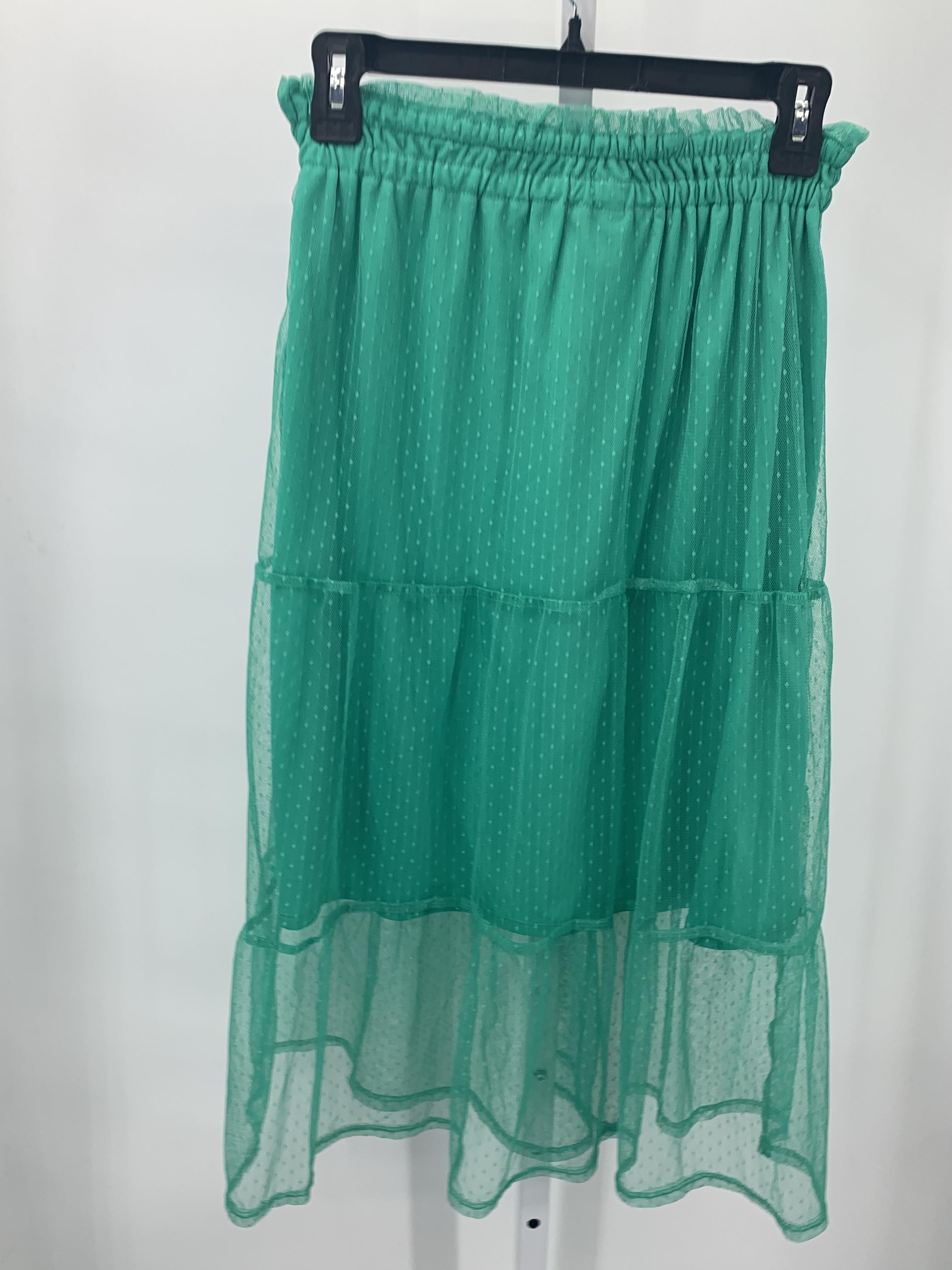 Size Medium Juniors Skirt