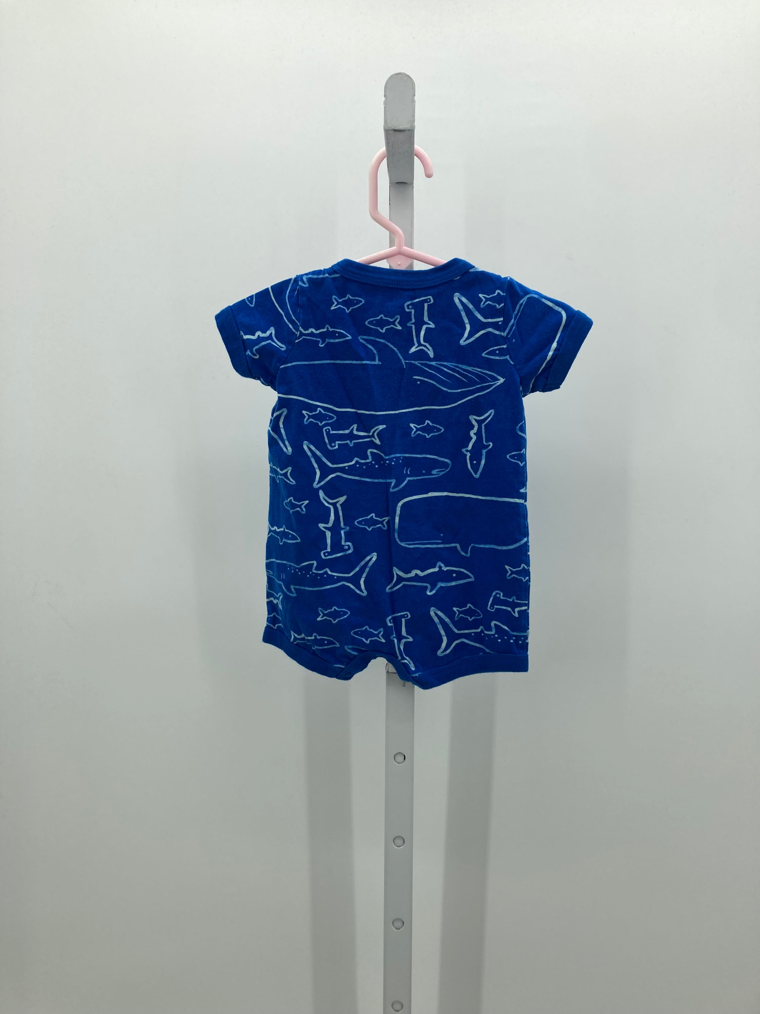 SHARKS AND WHALES KNIT