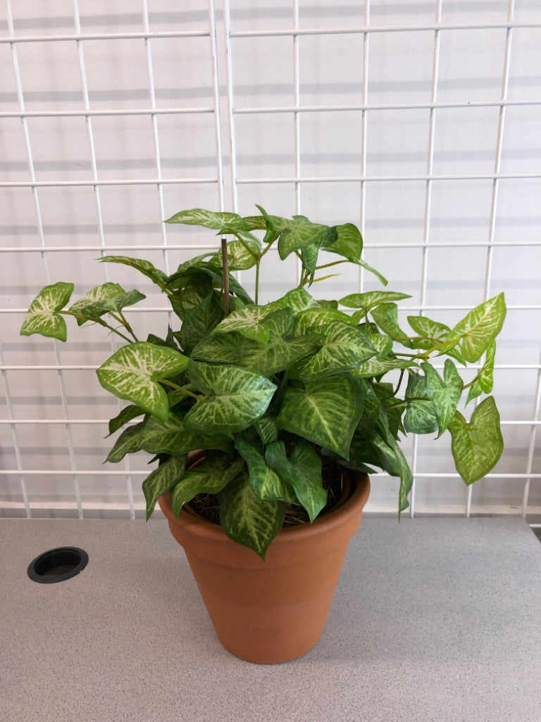 FAUX PLANT IN TERRA COTTA POT.