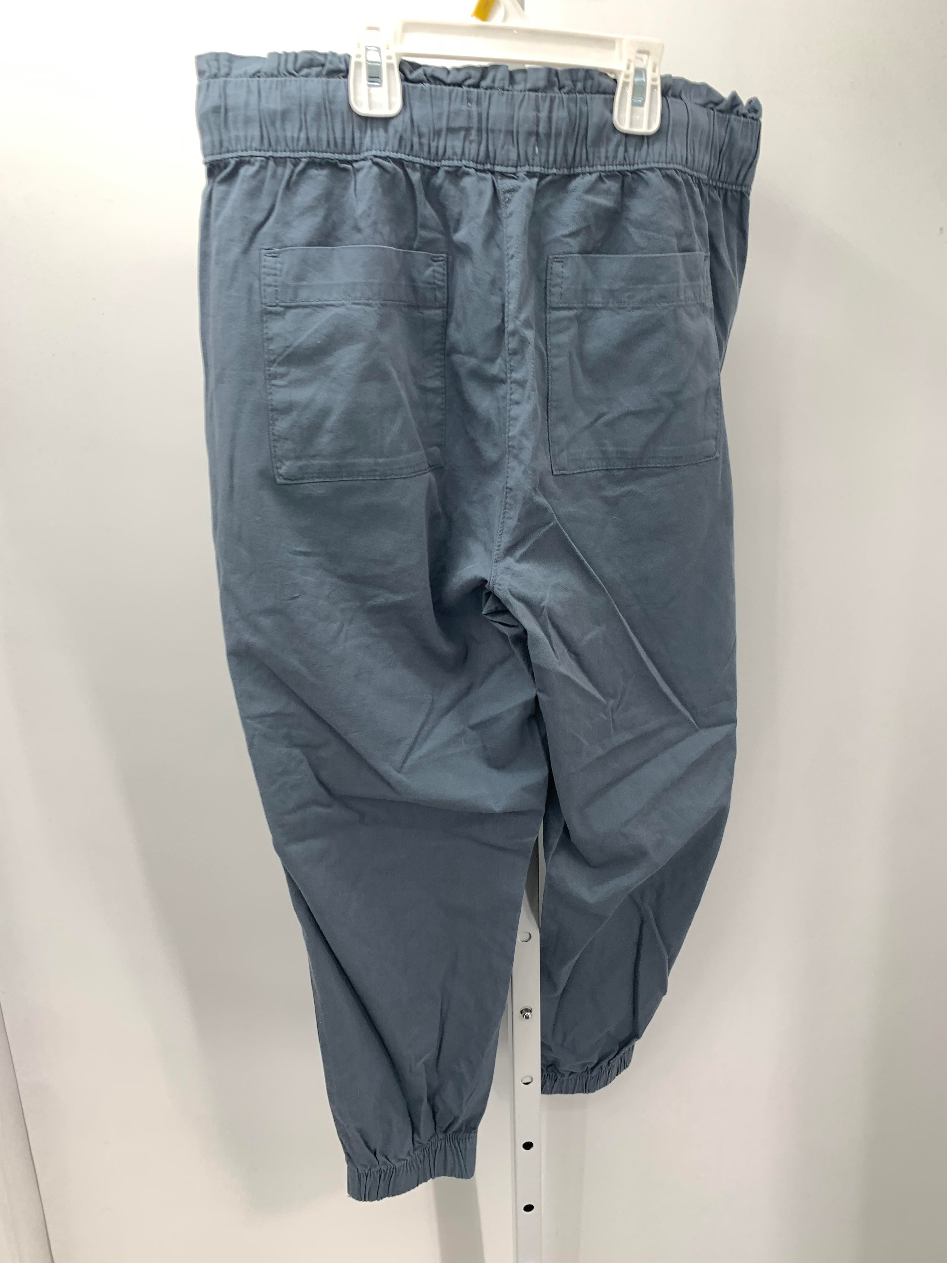 Loft Size Medium Petite Petite Pants