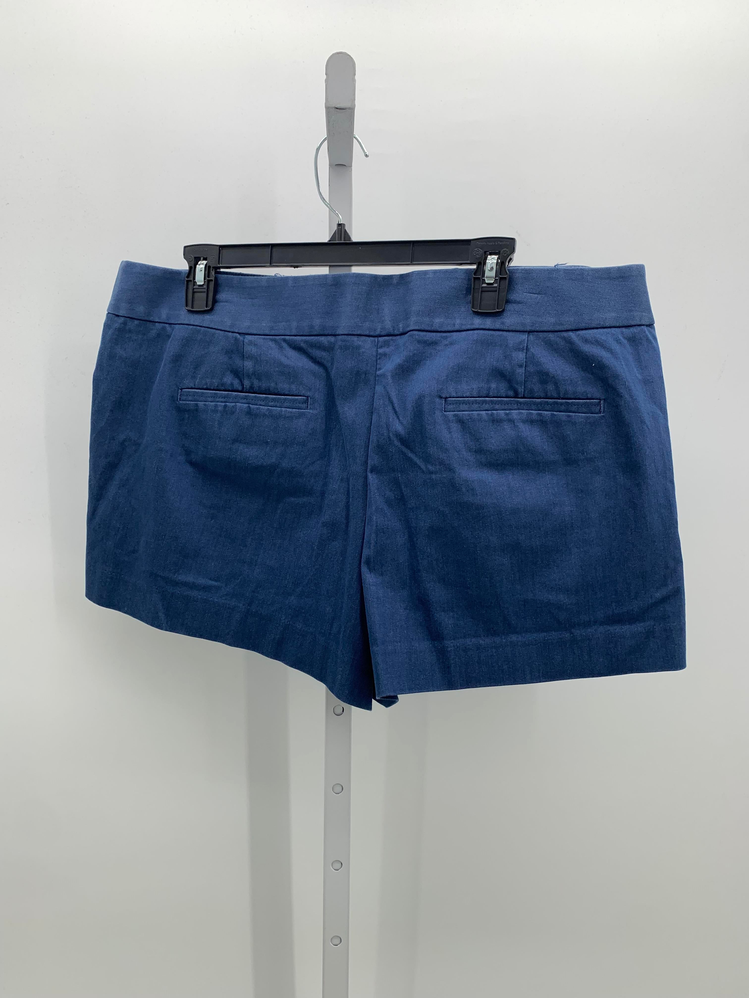 Loft Size 16 Misses Shorts
