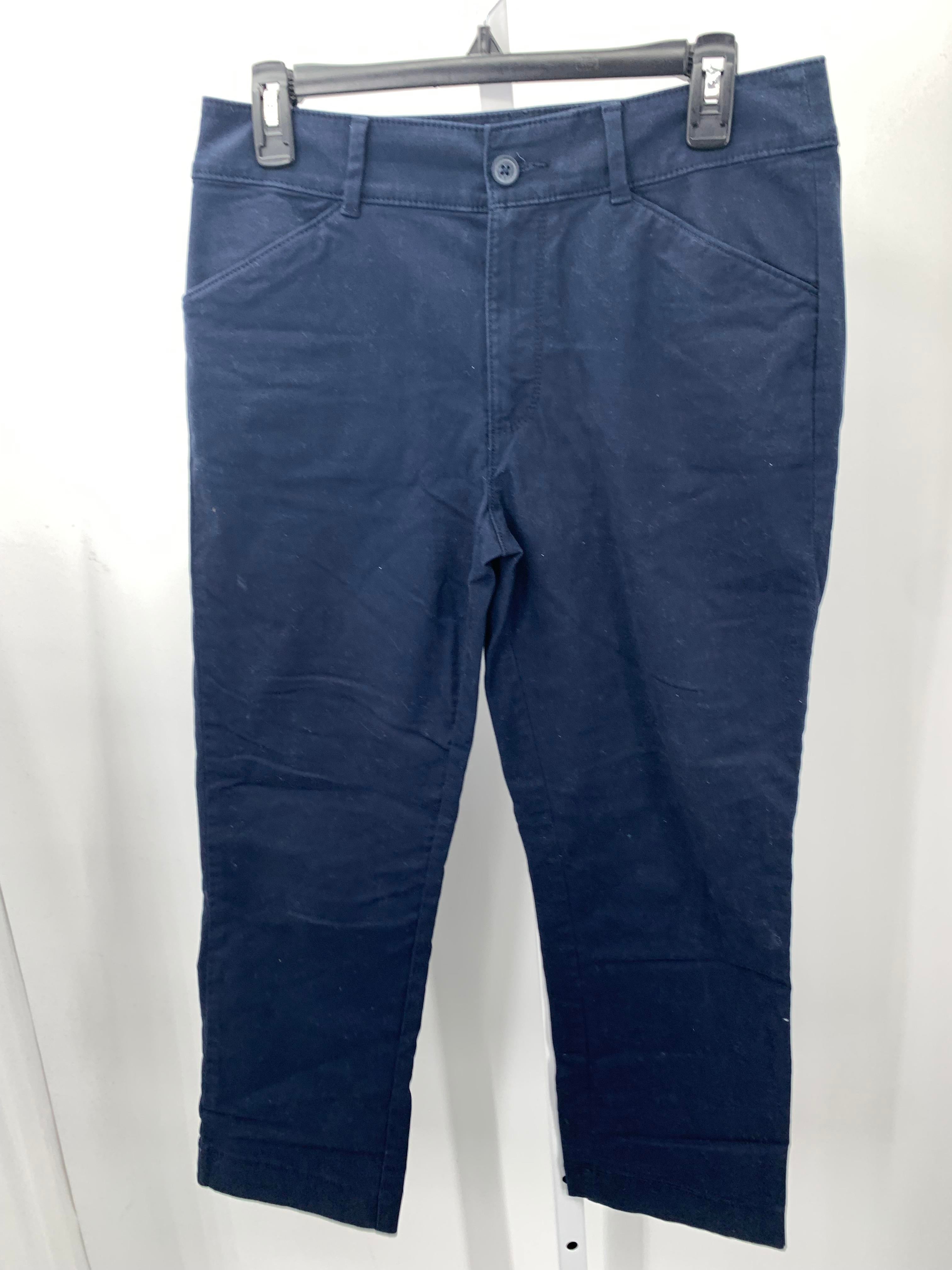 Loft Size 6 Petite Petite Pants
