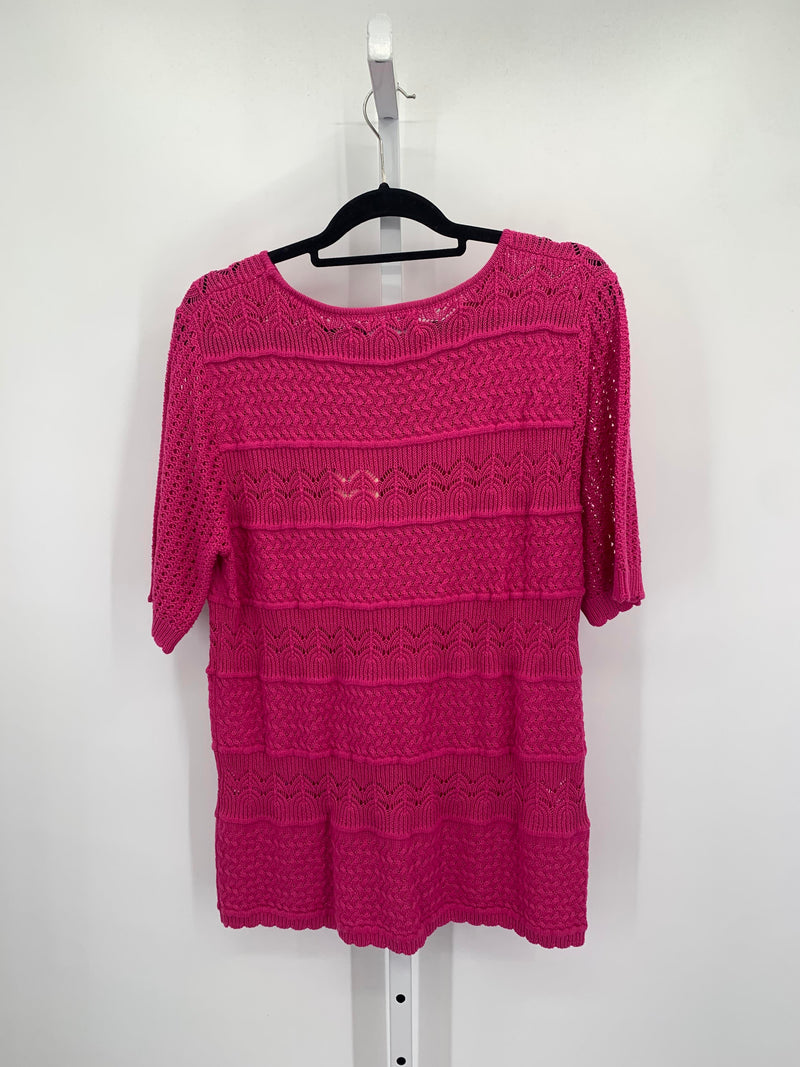 Size Extra Large Misses Short Slv Sweater