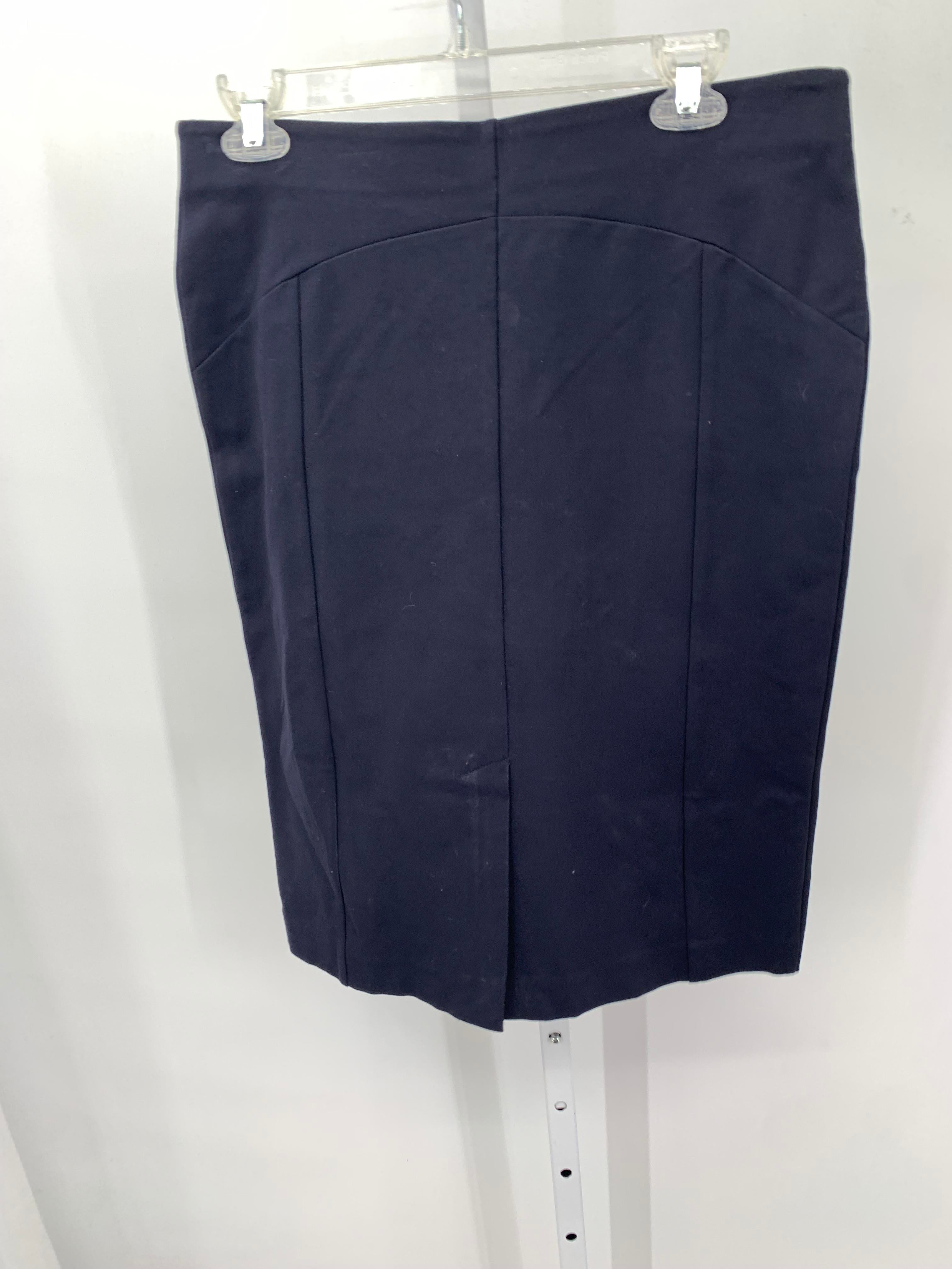 Ann Taylor Size 8 Misses Skirt